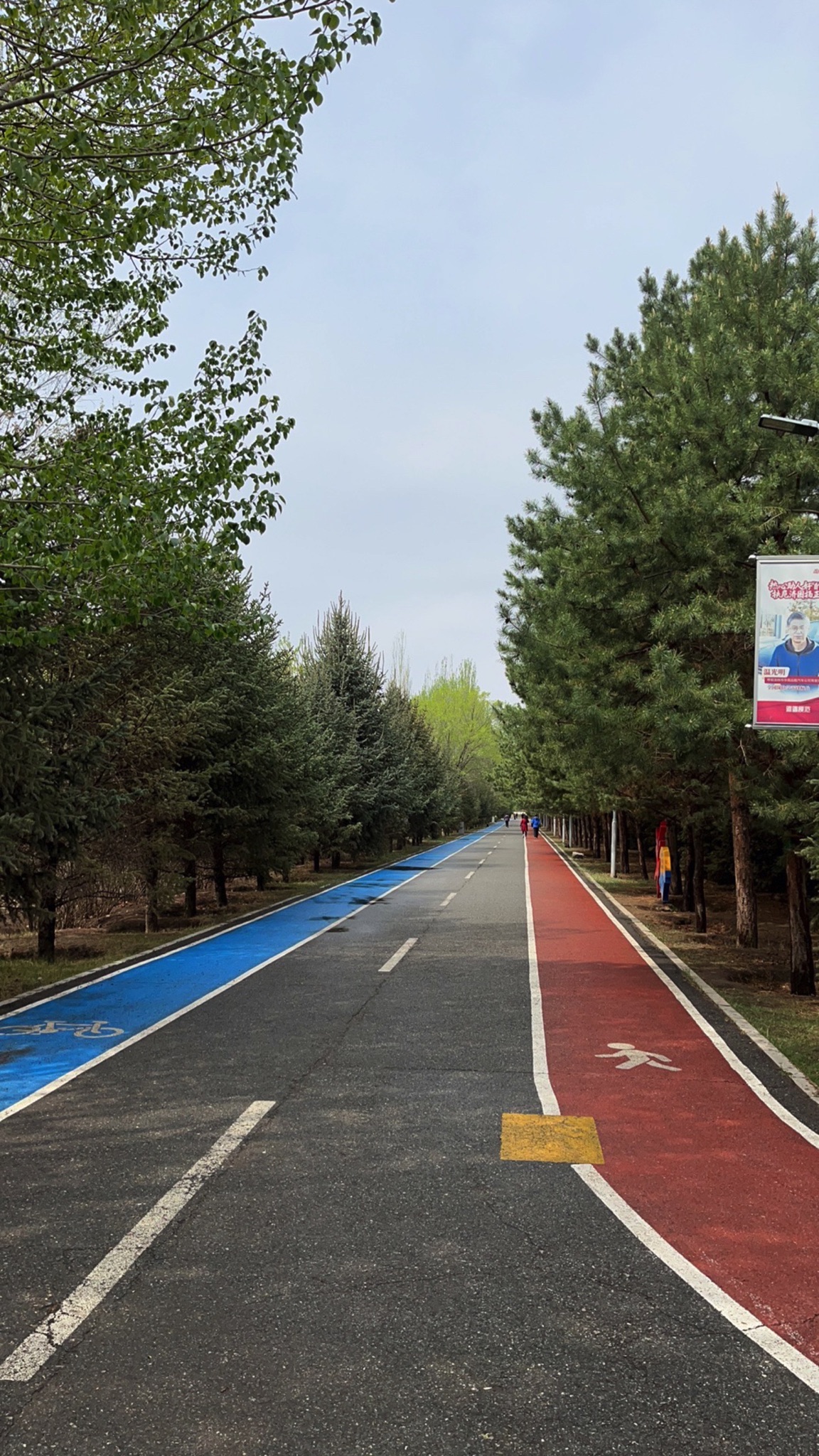 新钢公园旅行图片 1