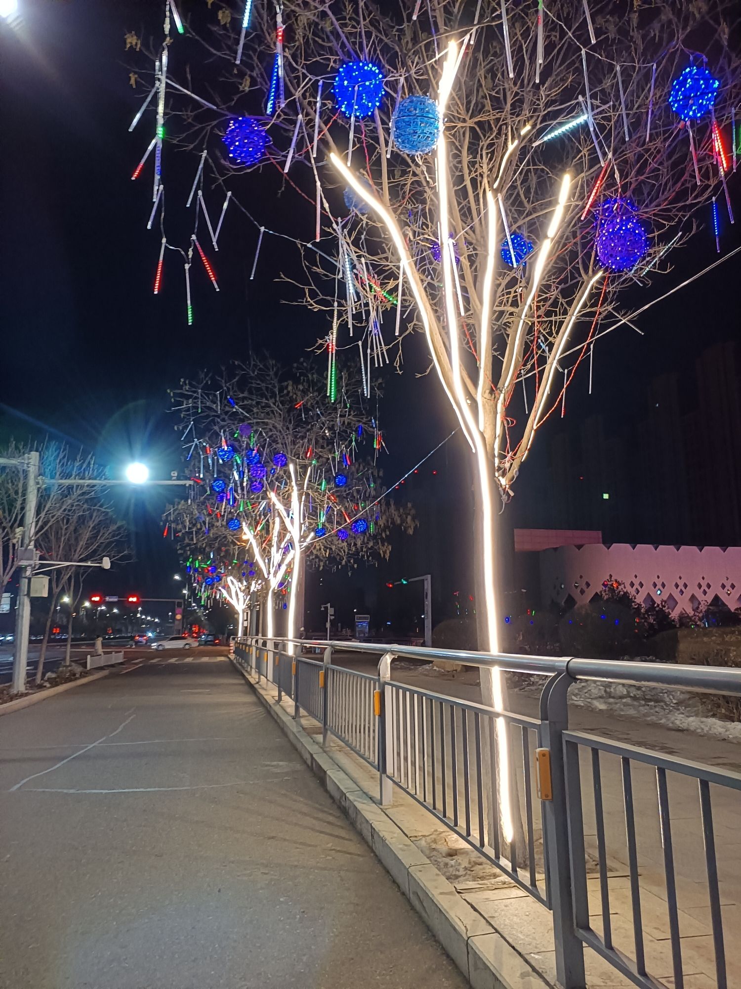 新钢公园旅行图片 3