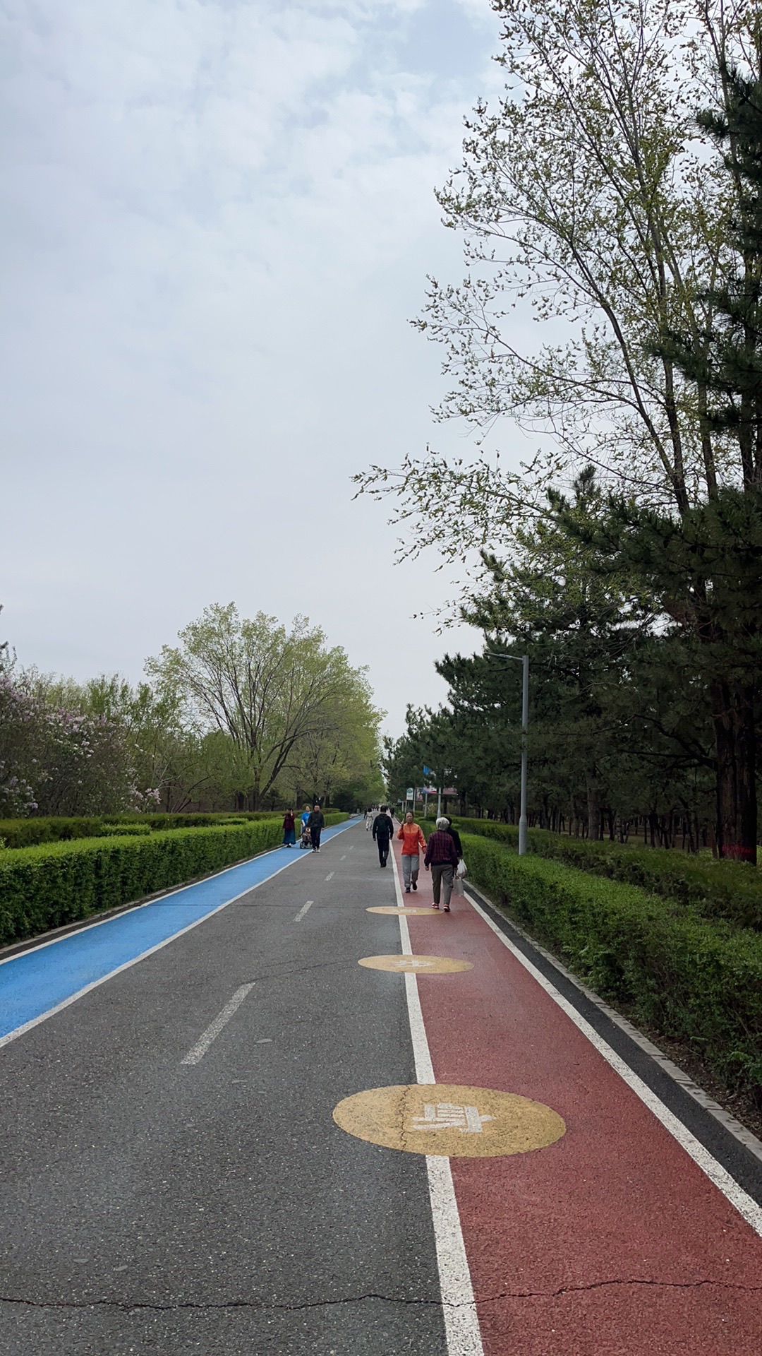 新钢公园旅行图片 2