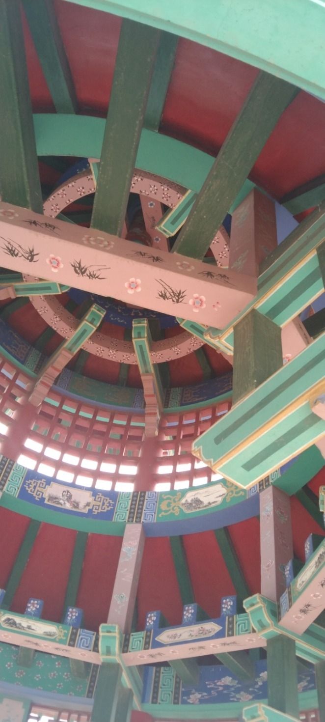 东山森林公园旅行图片 1