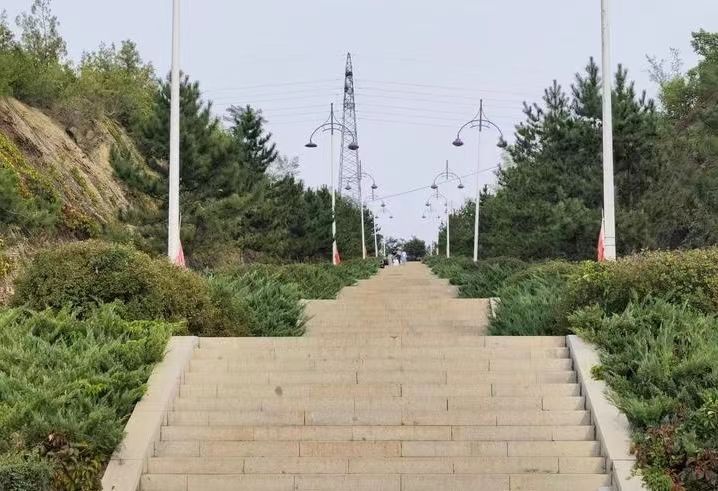东山森林公园旅行图片 1