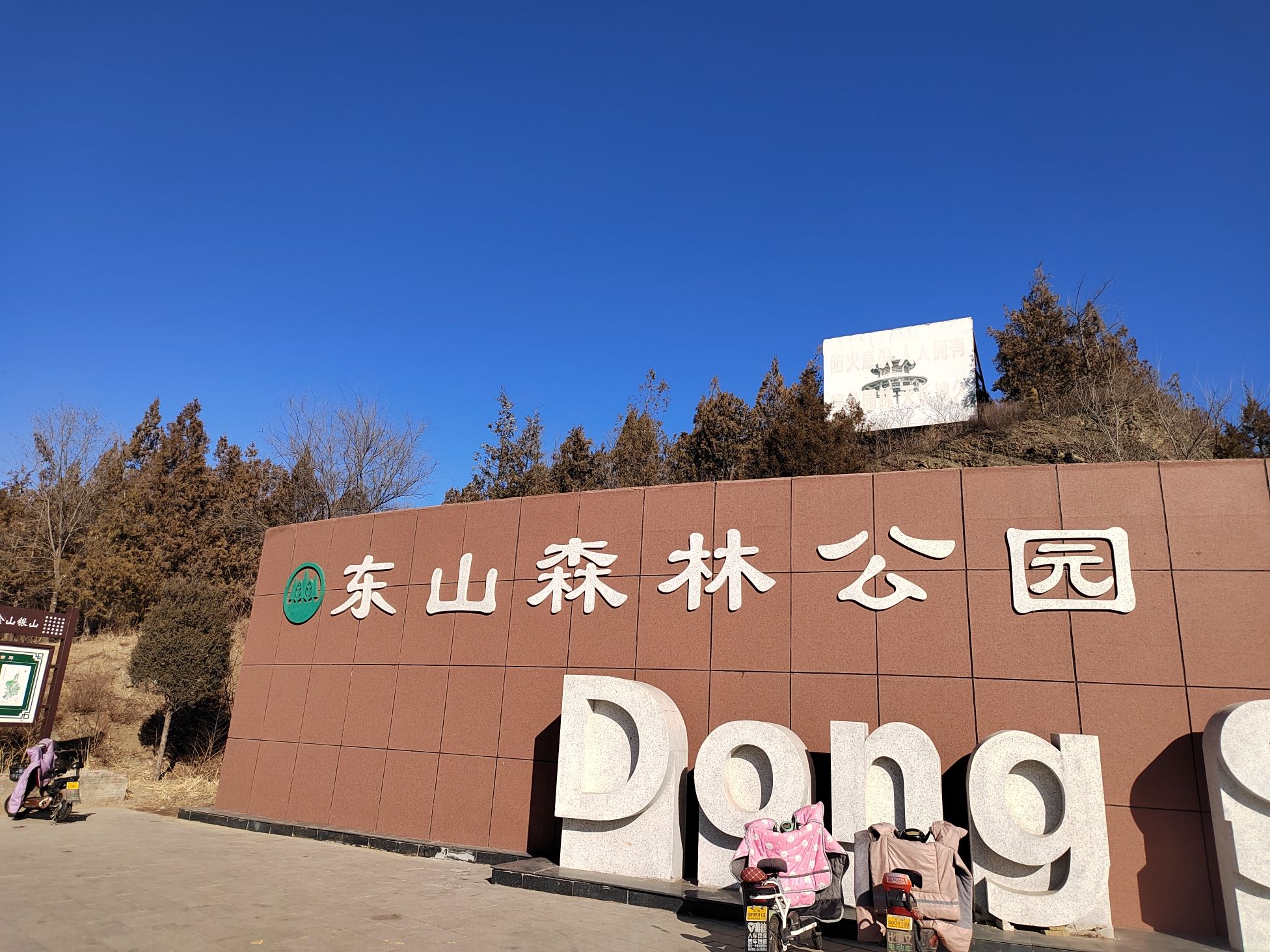 东山森林公园旅行图片 1