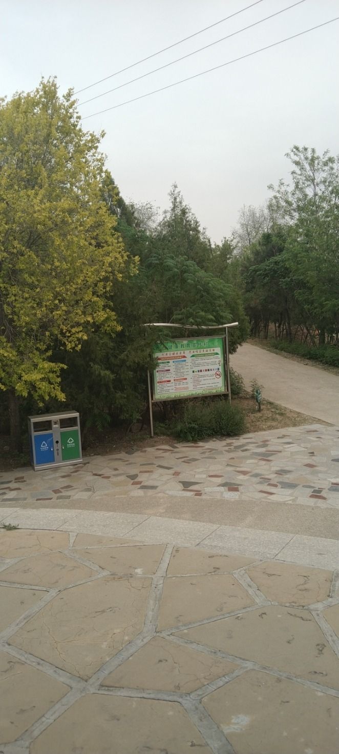 东山森林公园旅行图片 2