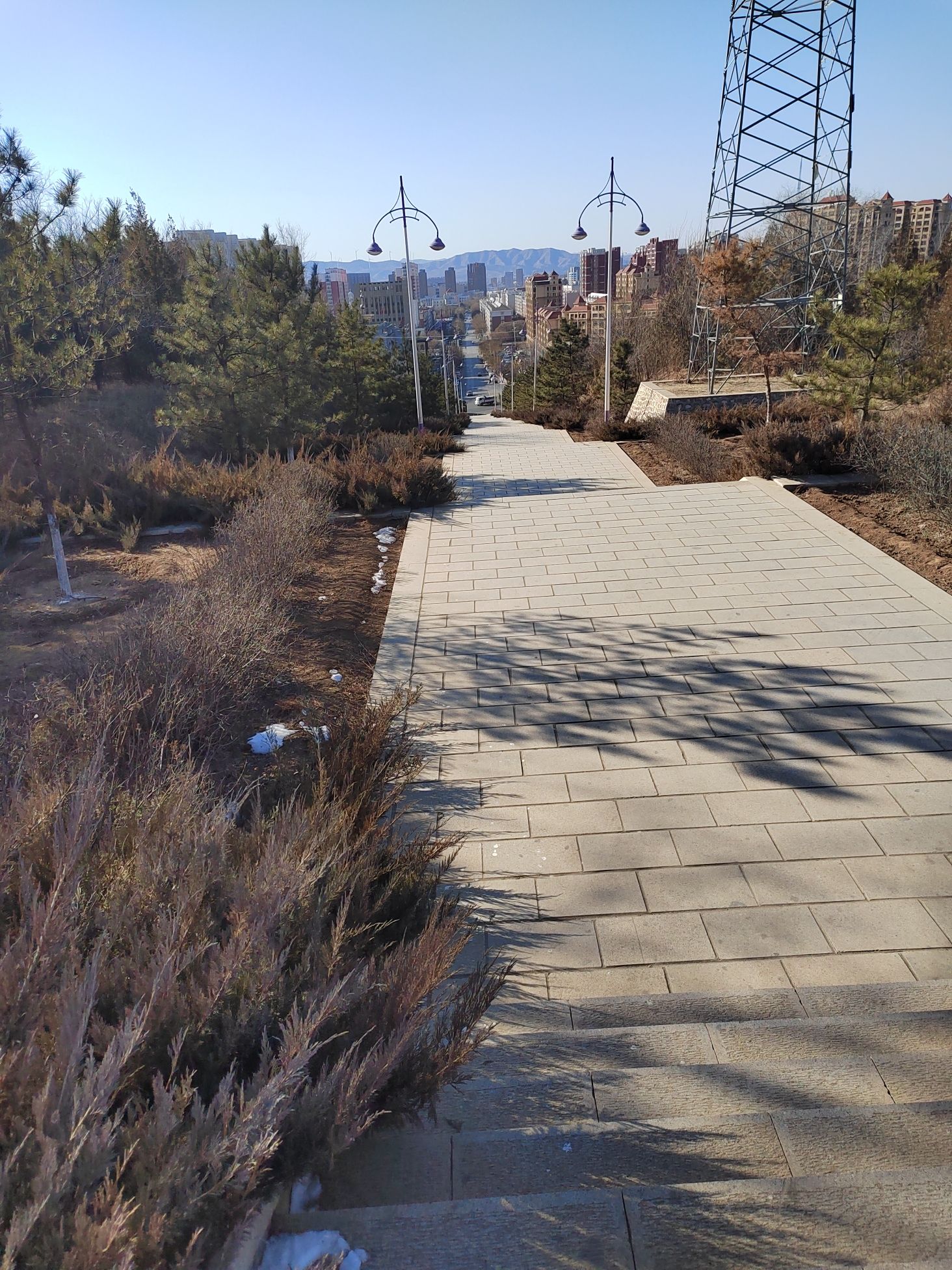 东山森林公园旅行图片 2