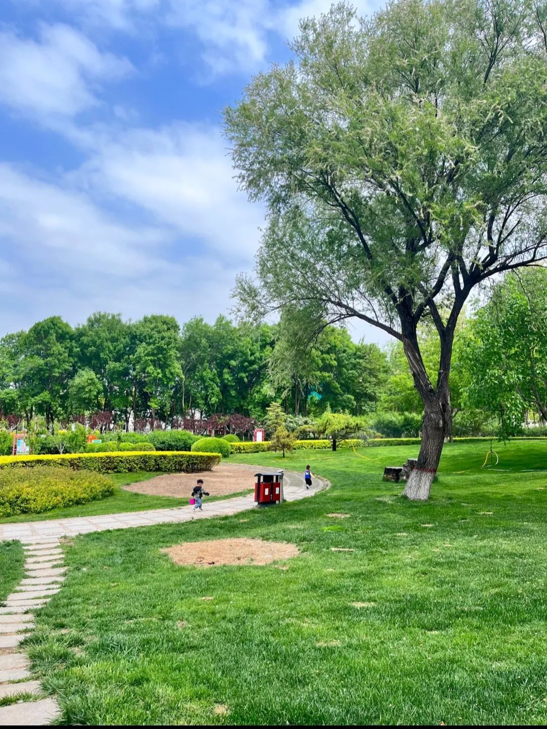 深州东山植物园旅行图片 3