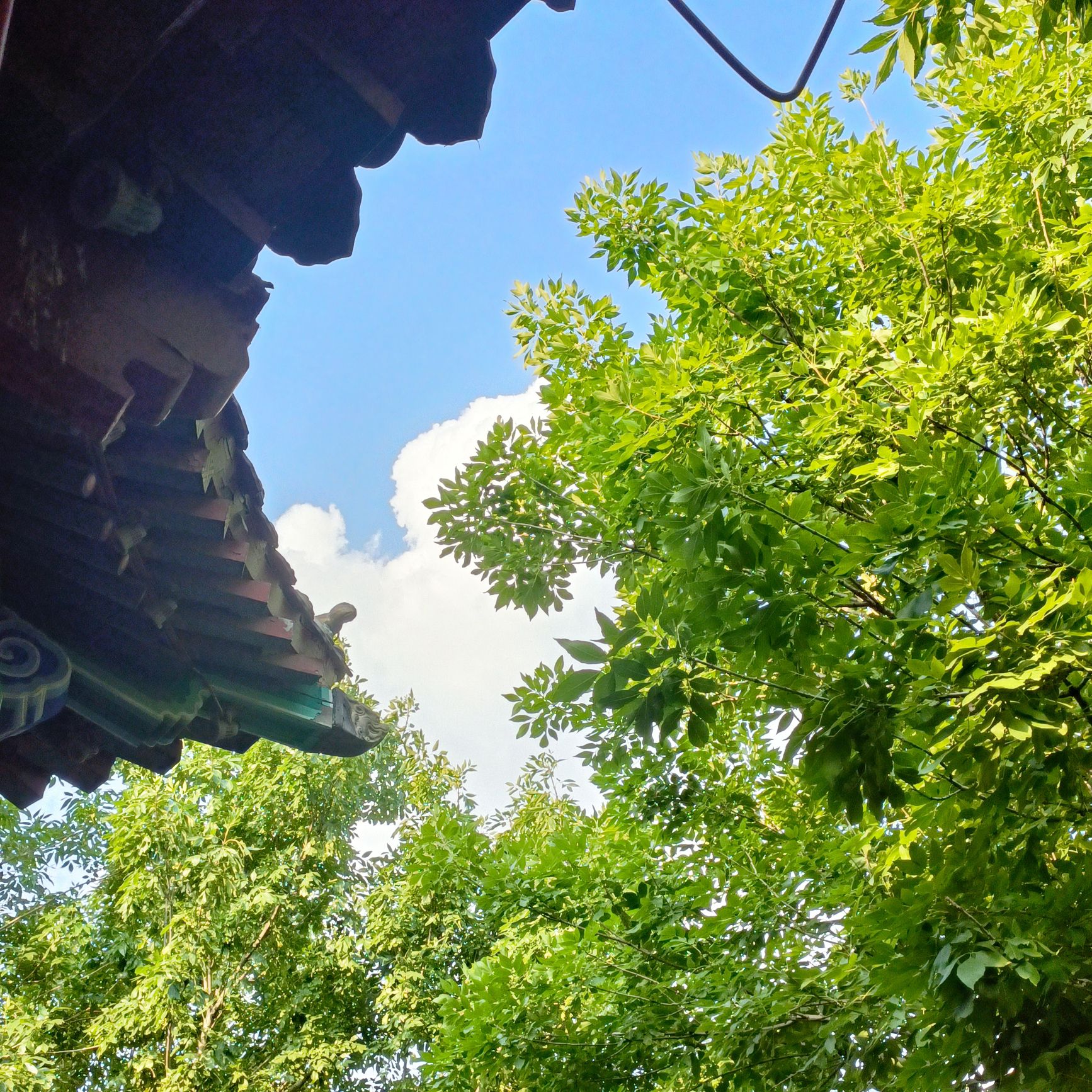 深州东山植物园旅行图片 2