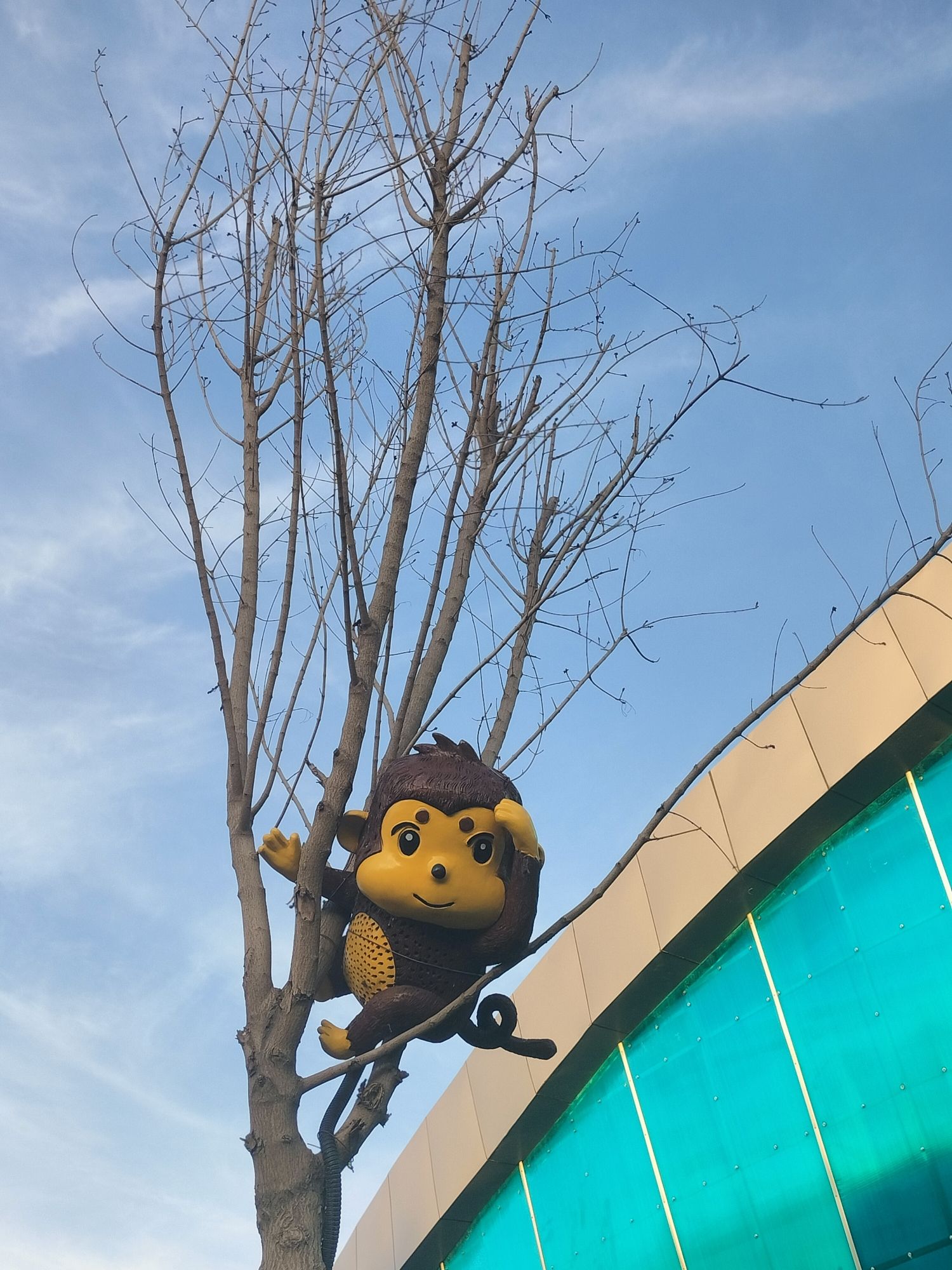 深州东山植物园旅行图片 1