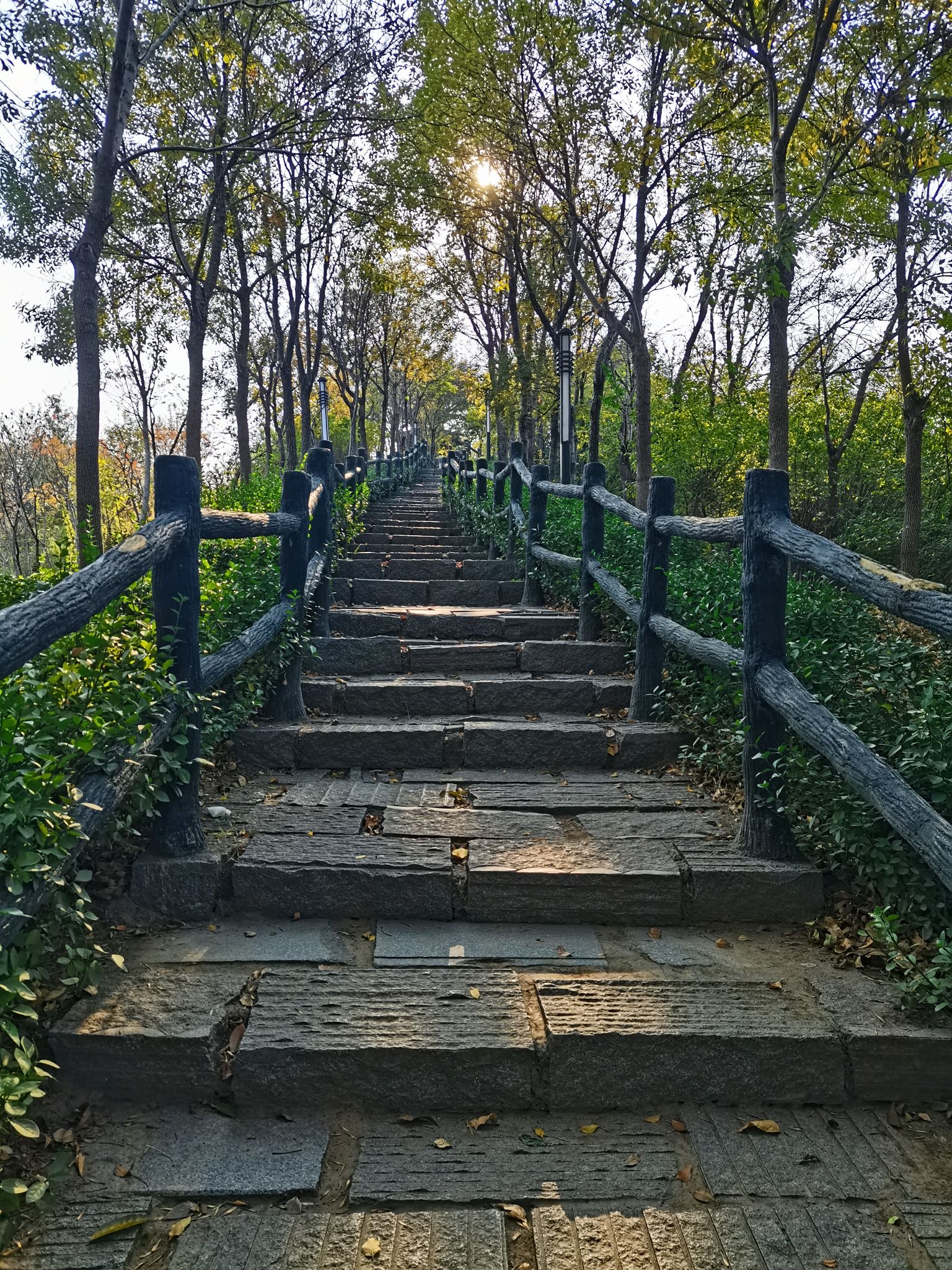 深州东山植物园旅行图片 1