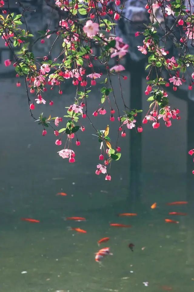 深州东山植物园