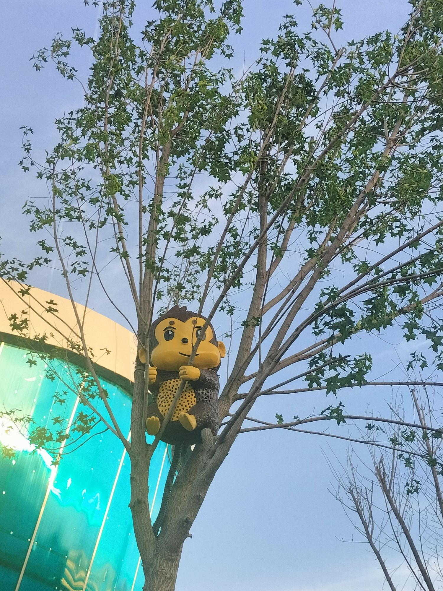 深州东山植物园旅行图片 2
