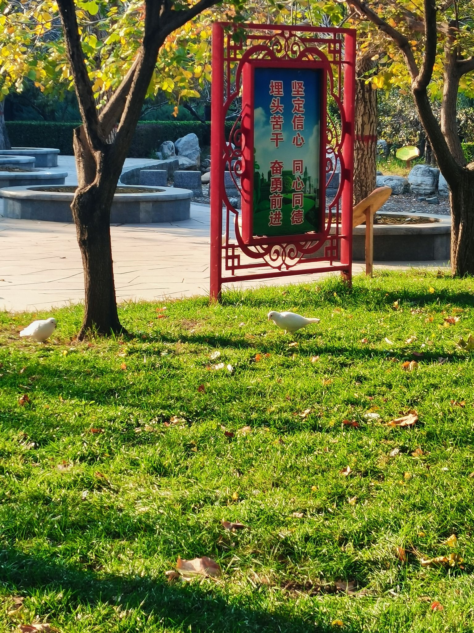 深州东山植物园旅行图片 2