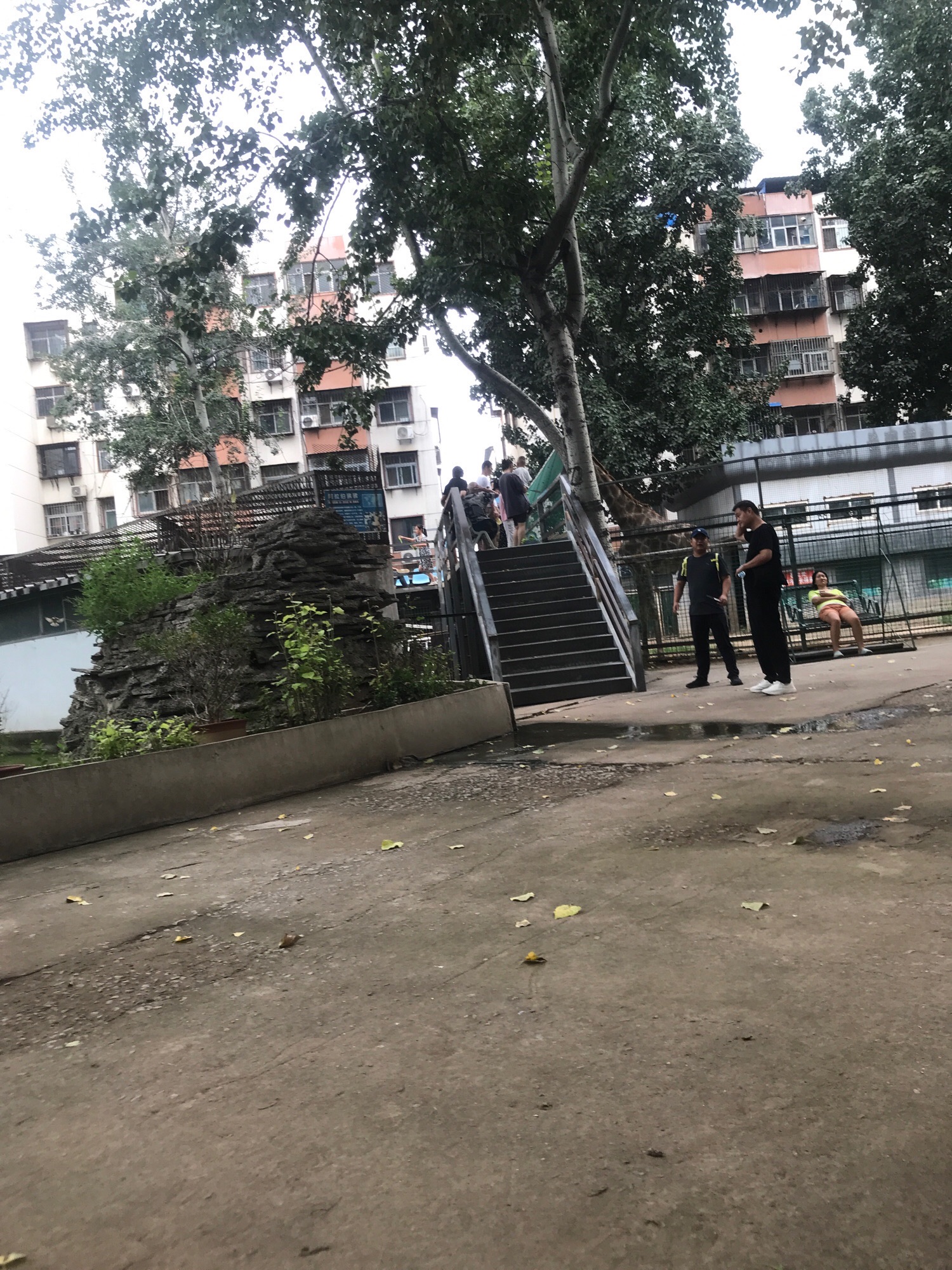 中心动物园旅行图片 2