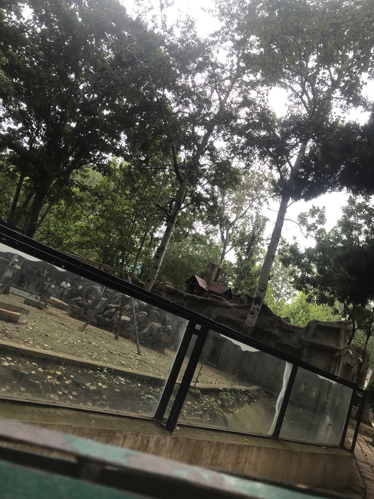 中心动物园旅行图片 1