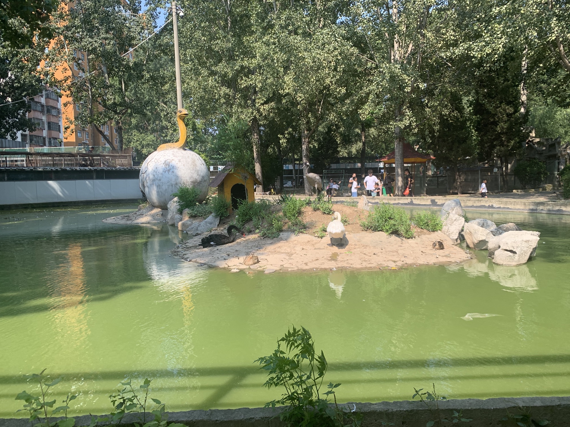 中心动物园旅行图片 2