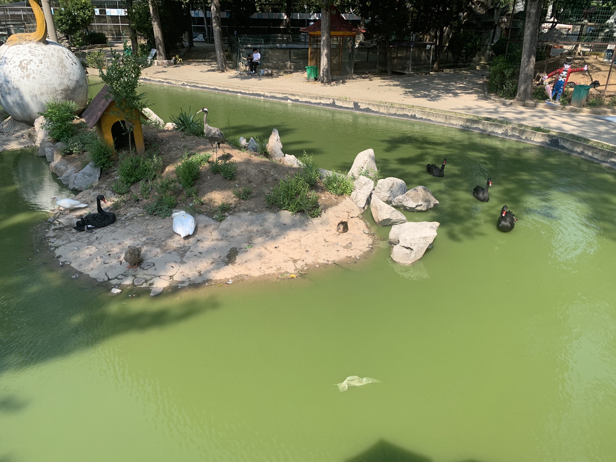 中心动物园旅行图片 1