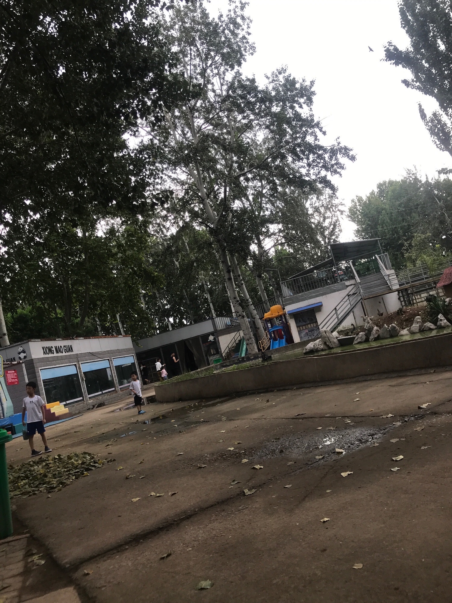 中心动物园旅行图片 3
