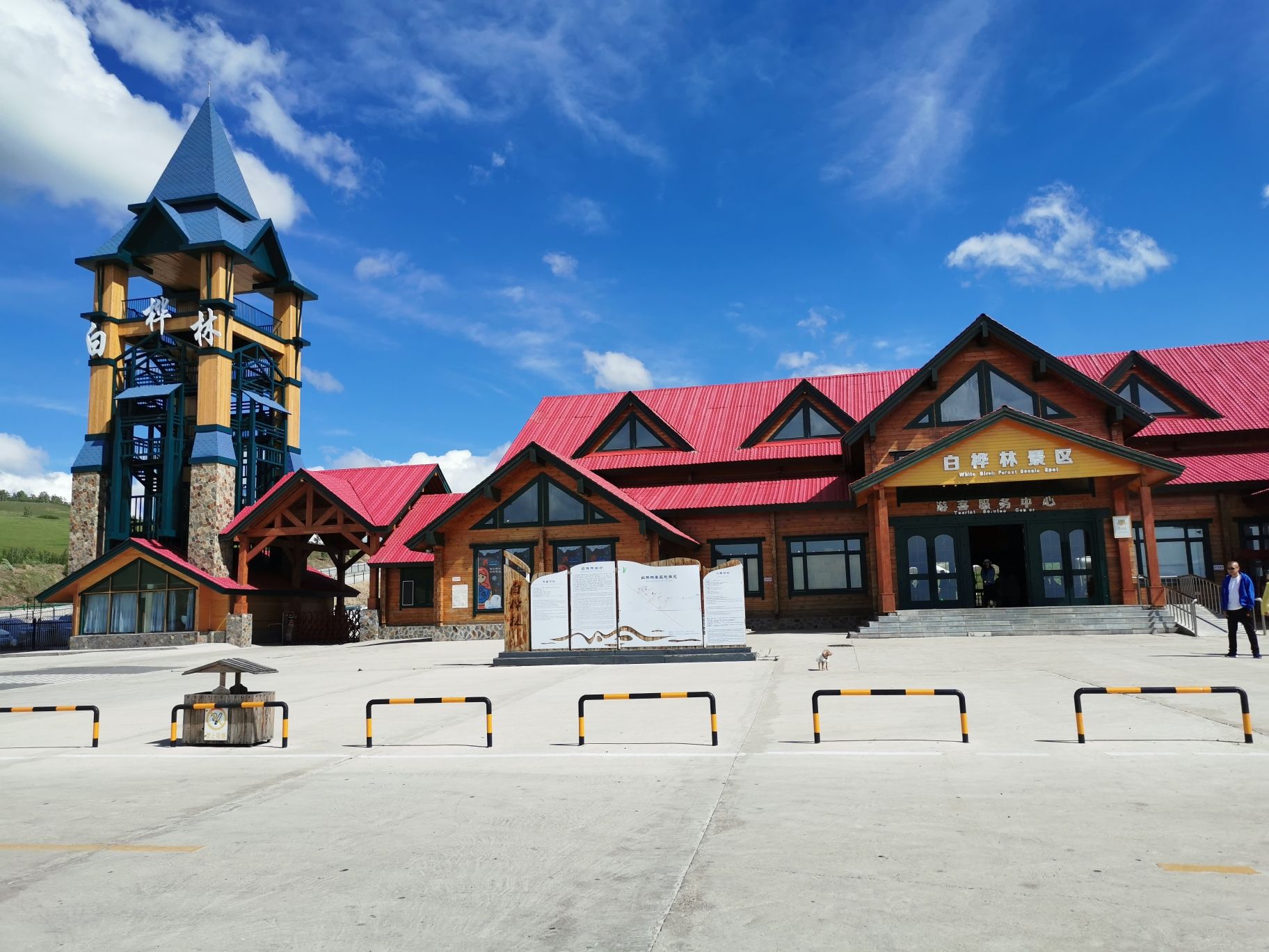 白桦林景区旅行图片 2