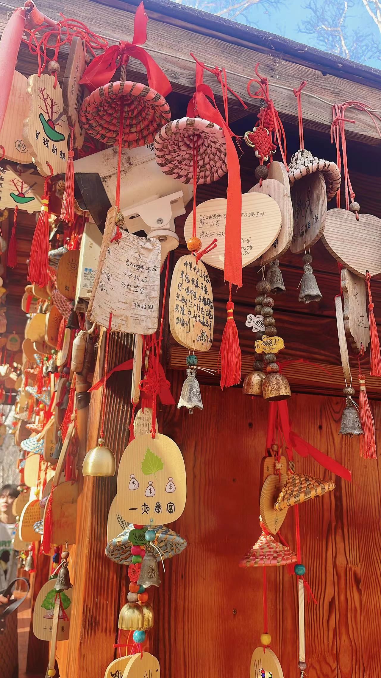 白桦林景区旅行图片 2