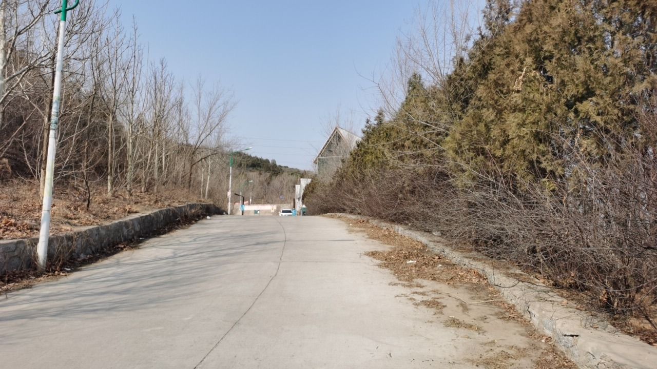 卧虎山生态森林公园旅行图片 2