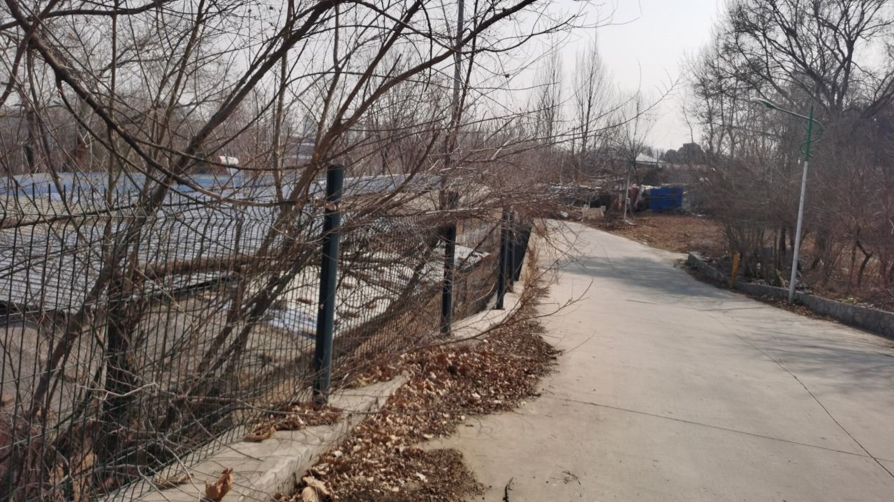 卧虎山生态森林公园旅行图片 1