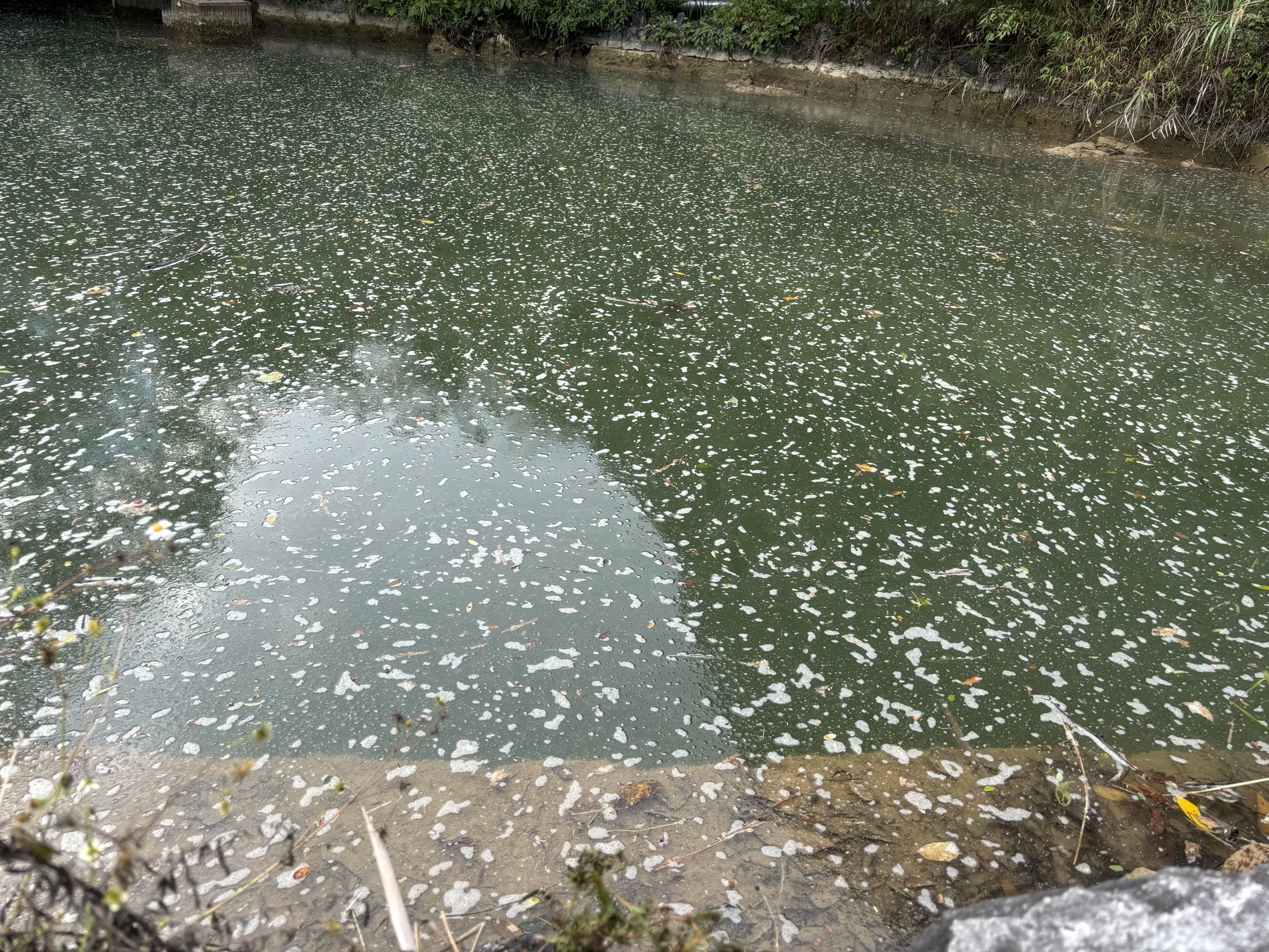 环江牛角寨瀑布群风景区(暂停开放)旅行图片 1