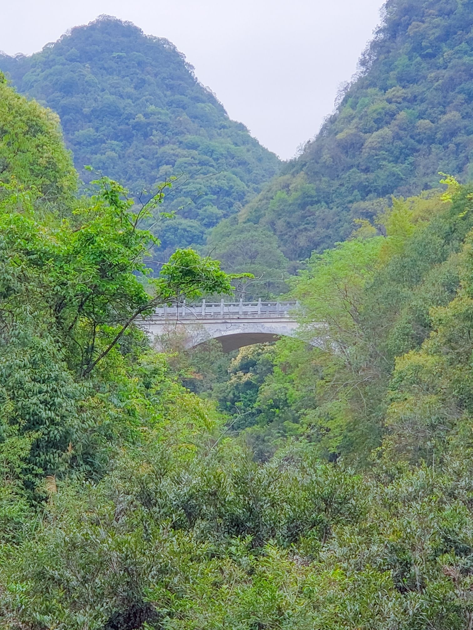 环江牛角寨瀑布群风景区(暂停开放)旅行图片 2