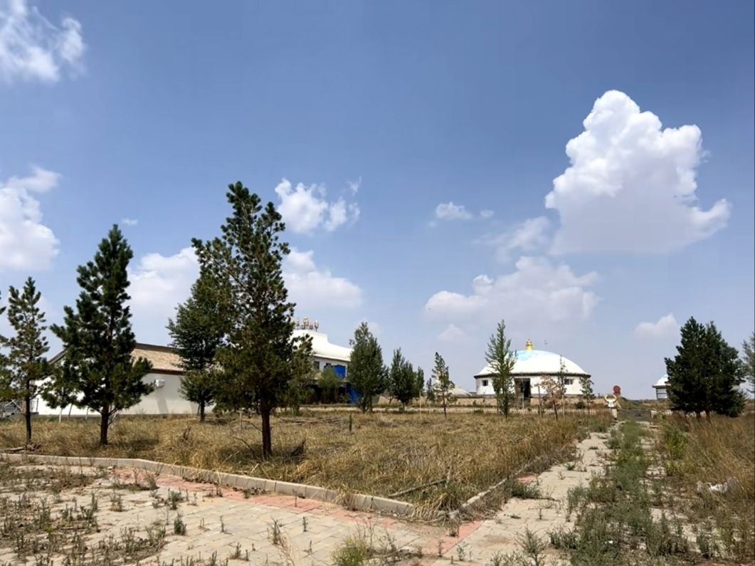 扎桑草原旅游景区旅行图片 3