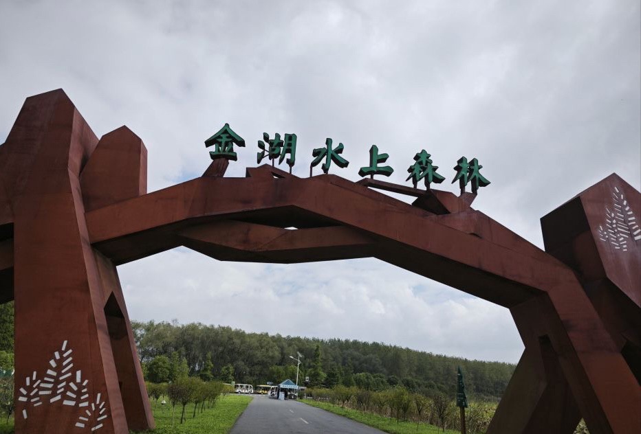 金湖水上森林景区旅行图片 1