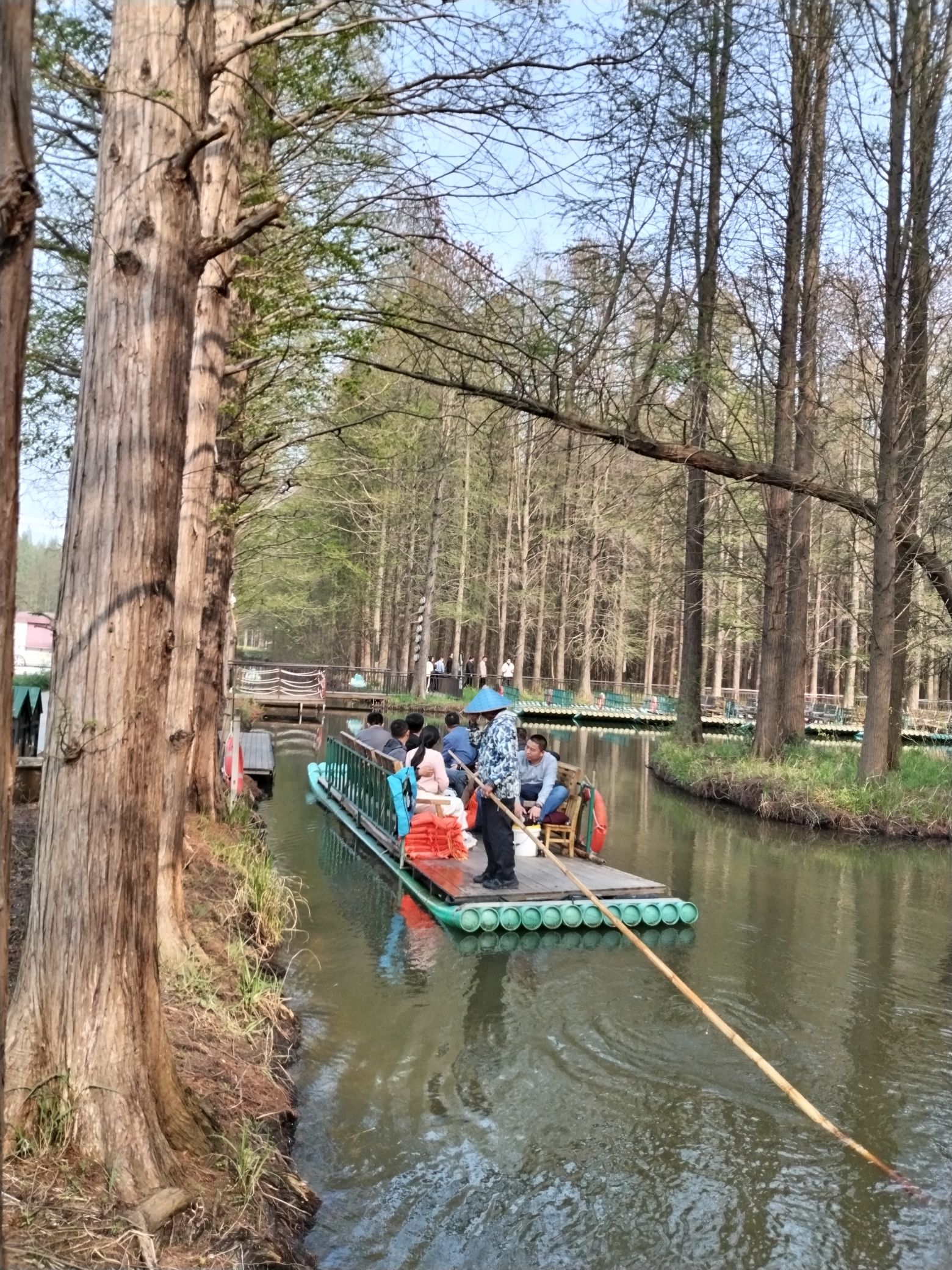 金湖水上森林景区旅行图片 3