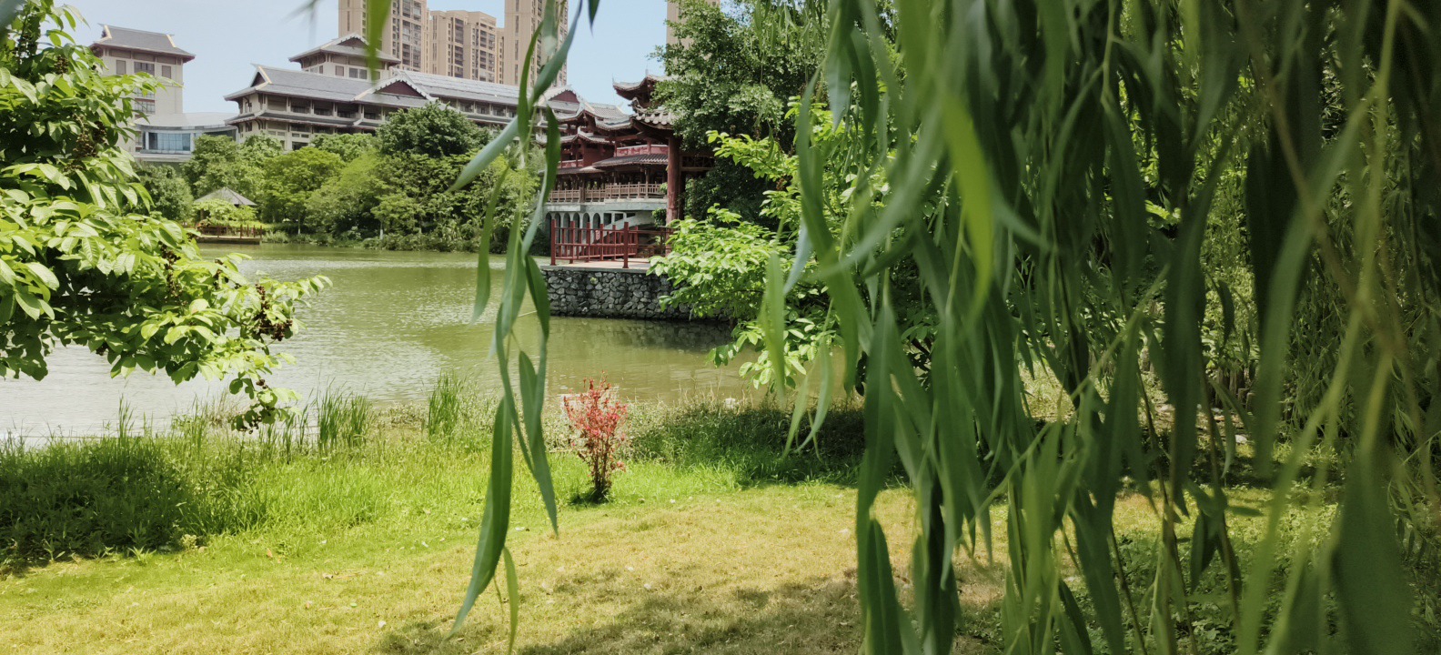 田东县城西湿地公园旅行图片 1