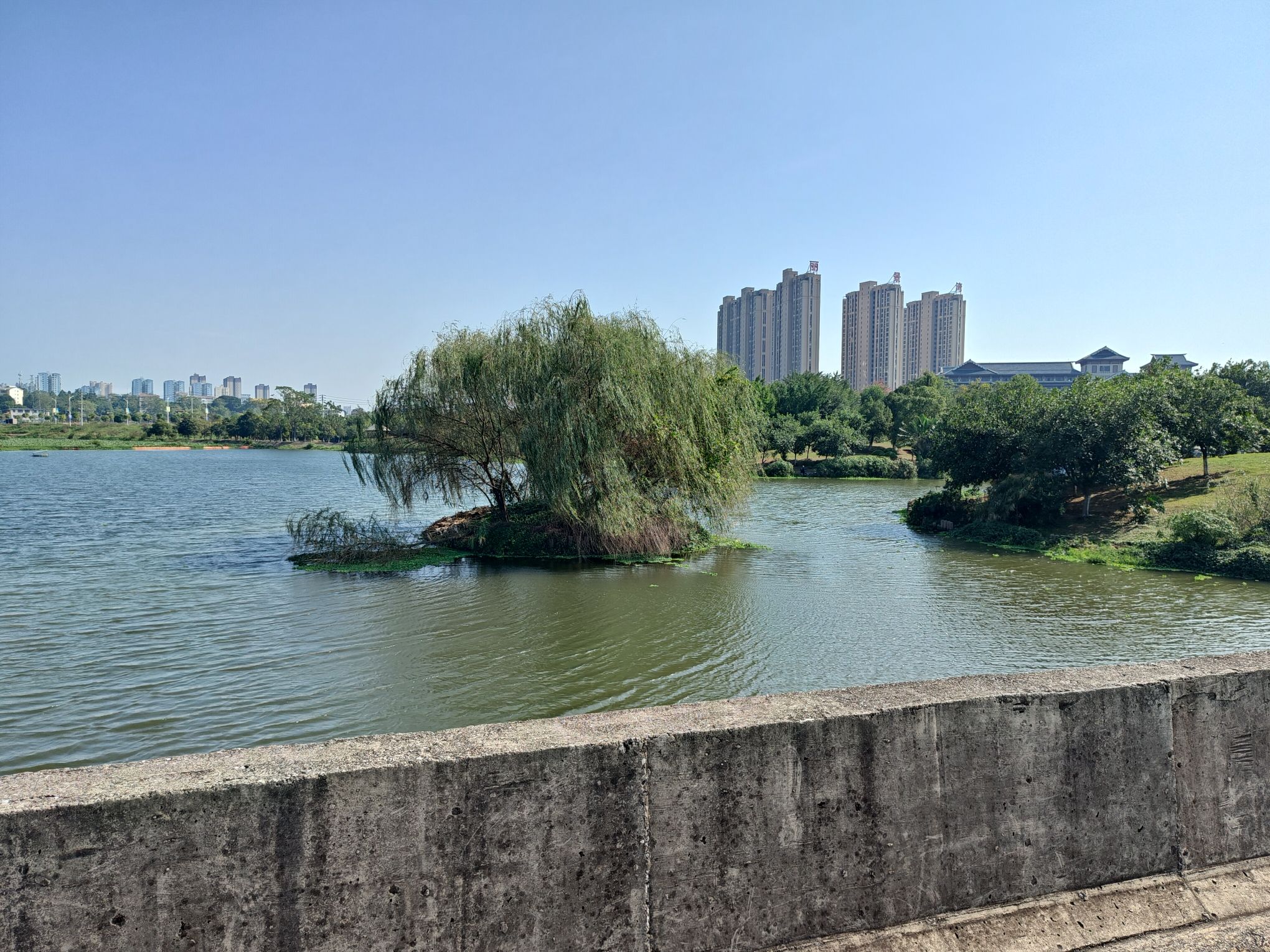 田东县城西湿地公园旅行图片 2