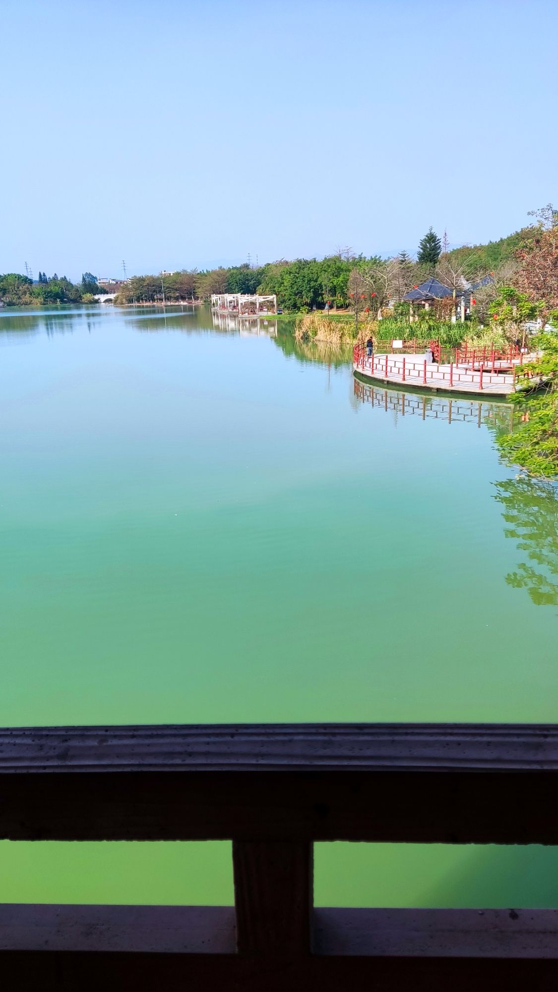 田东县城西湿地公园旅行图片 1