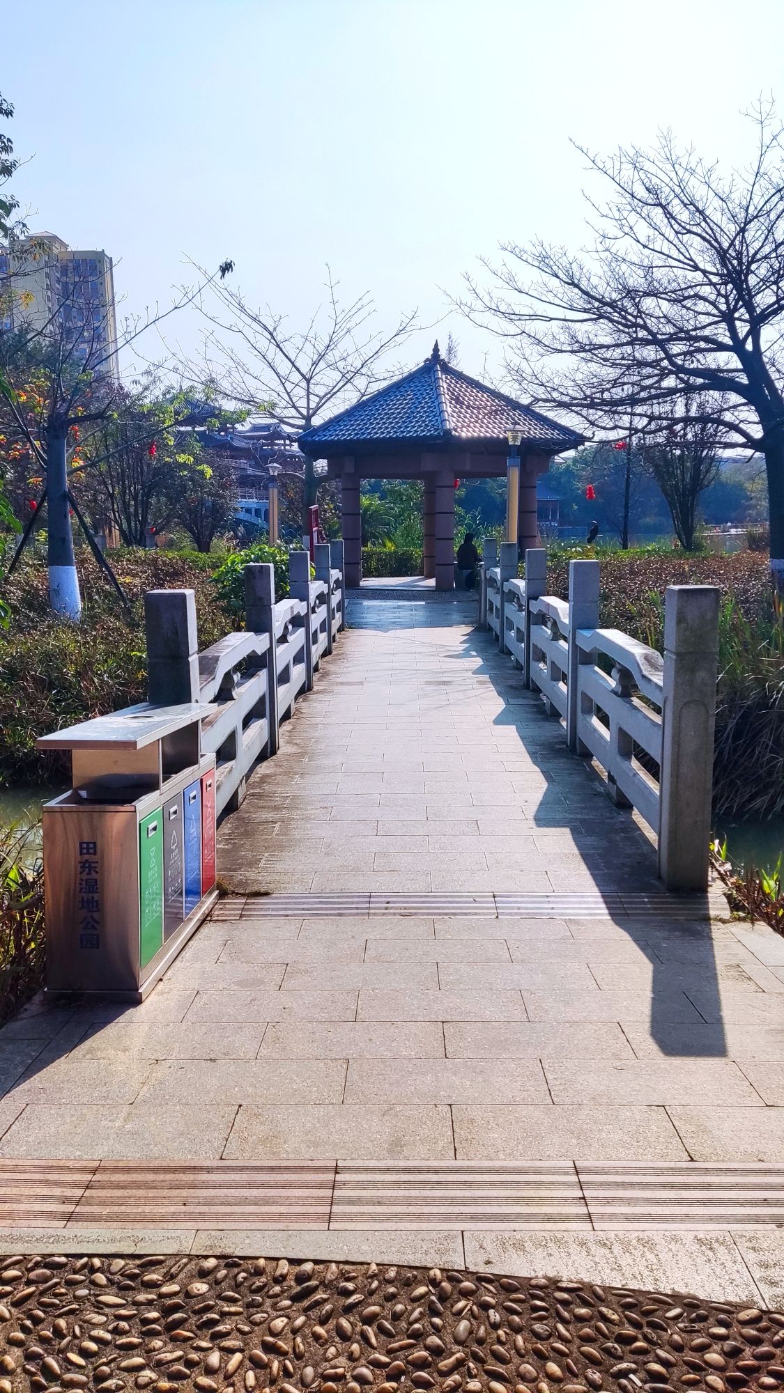 田东县城西湿地公园旅行图片 3