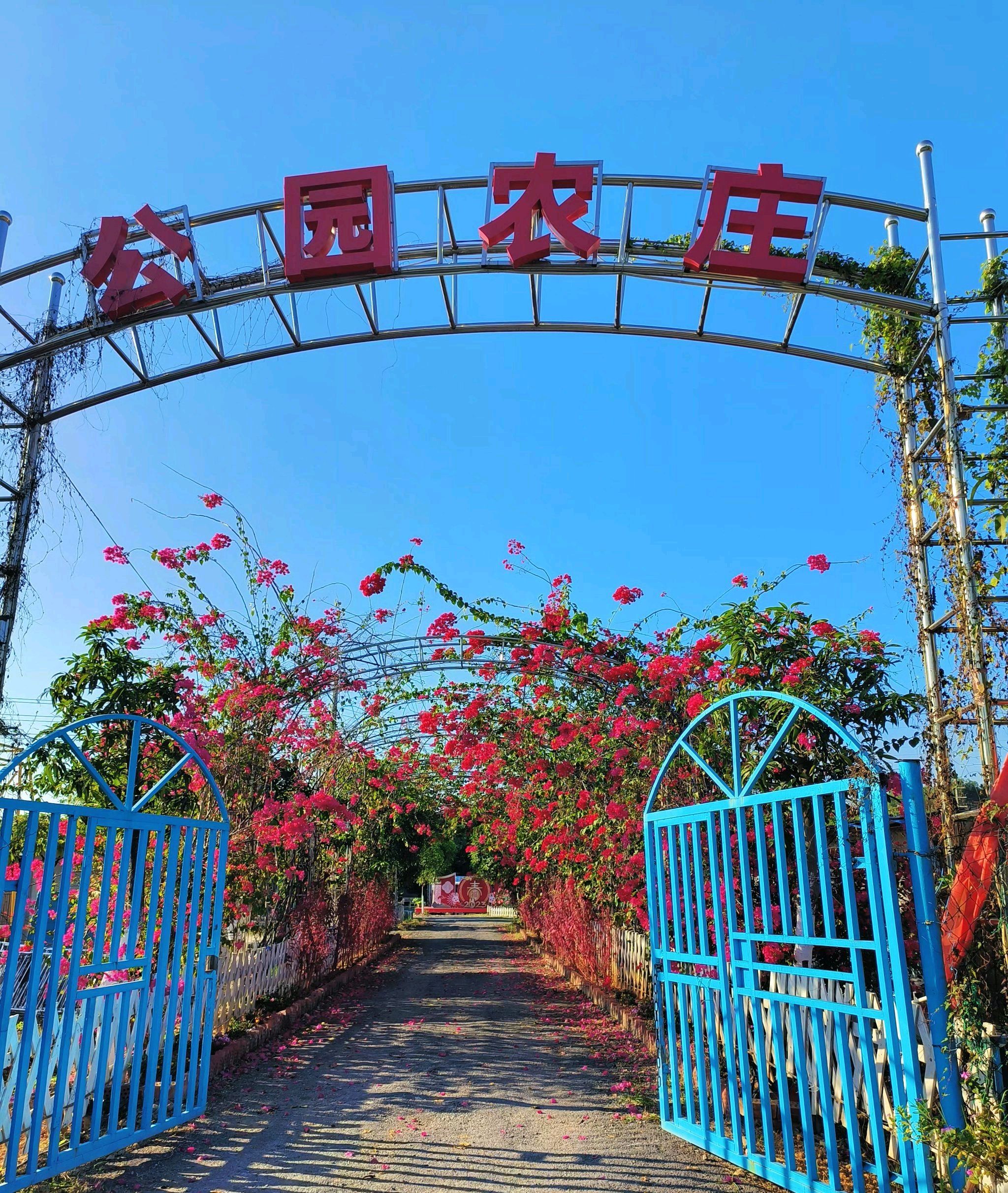 田东县城西湿地公园旅行图片 1