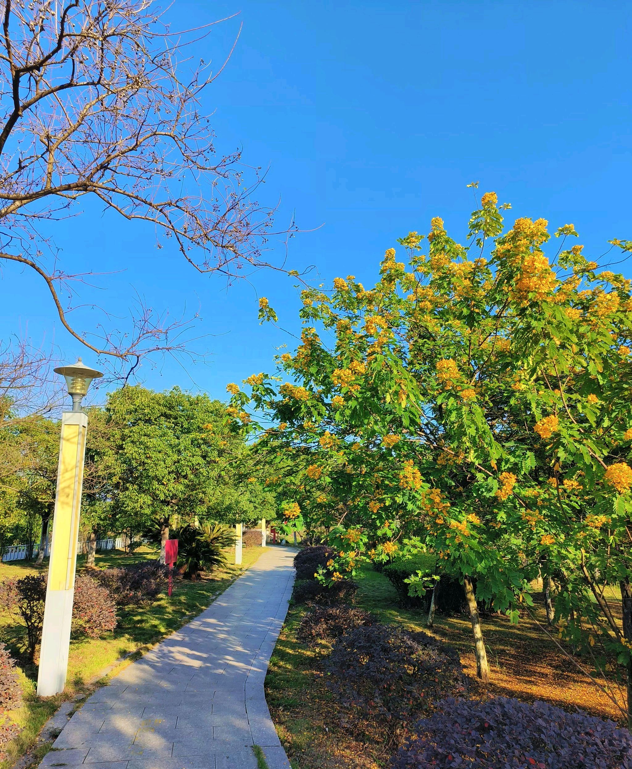 田东县城西湿地公园旅行图片 2