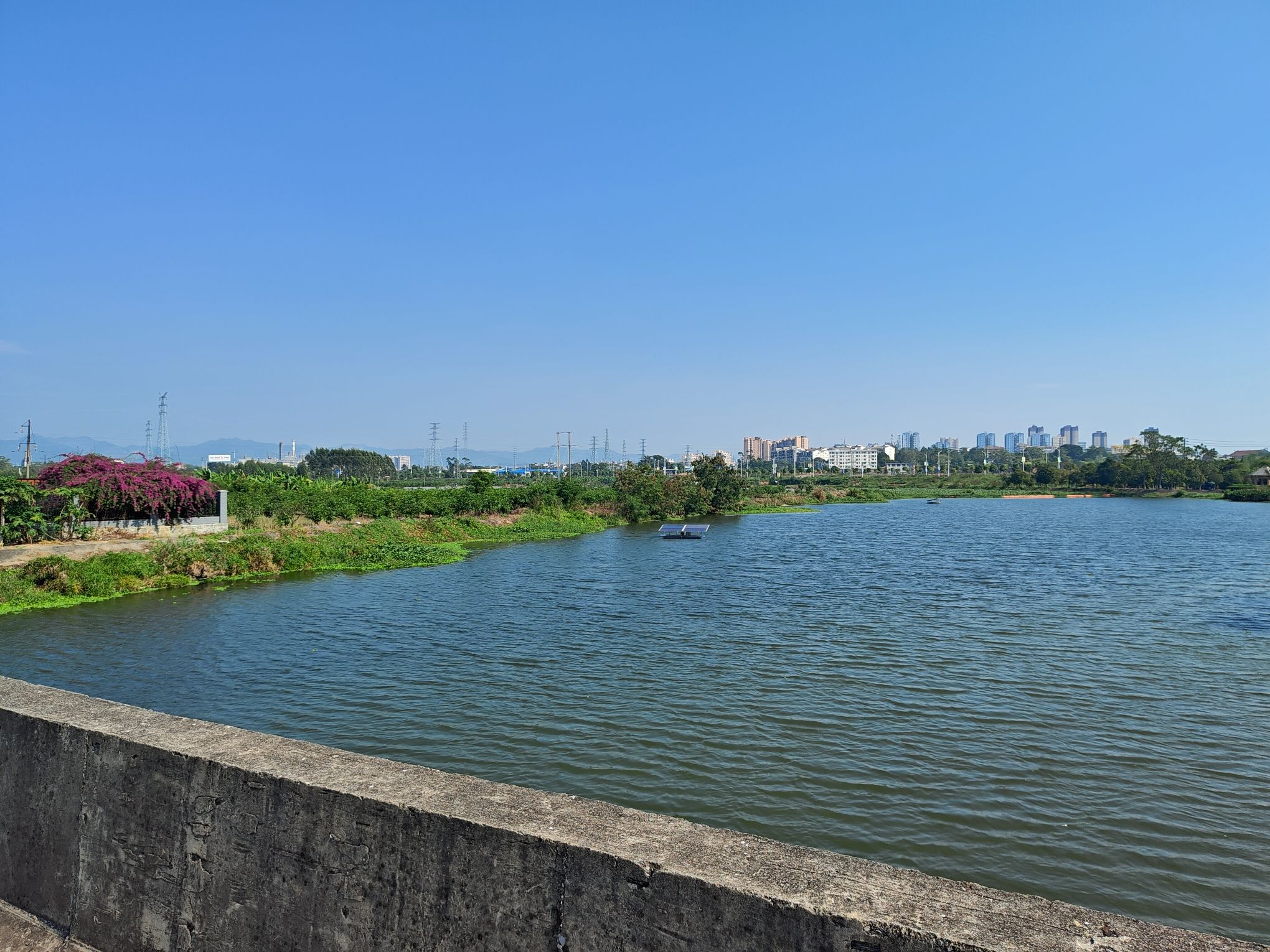 田东县城西湿地公园旅行图片 1