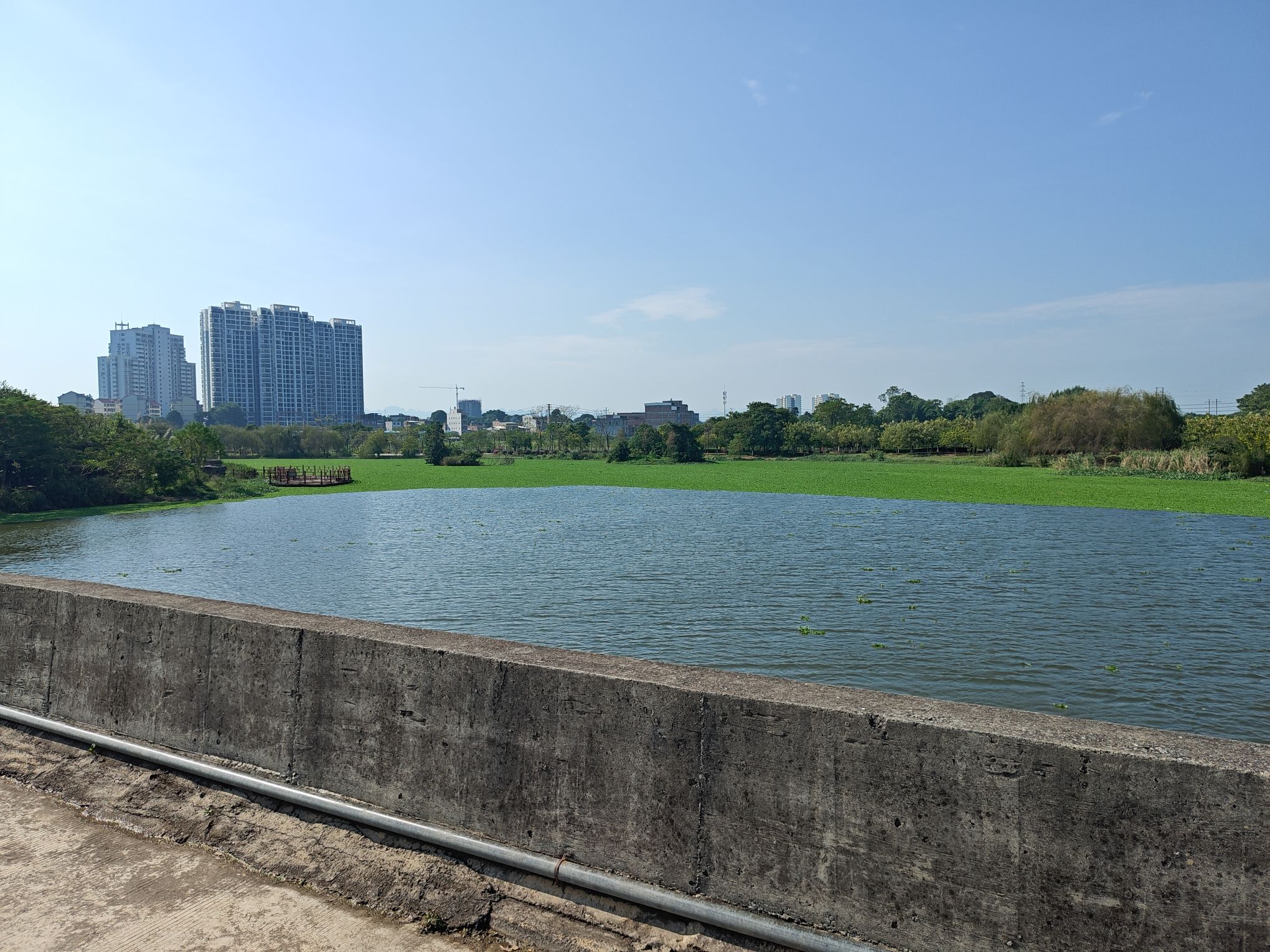 田东县城西湿地公园旅行图片 3
