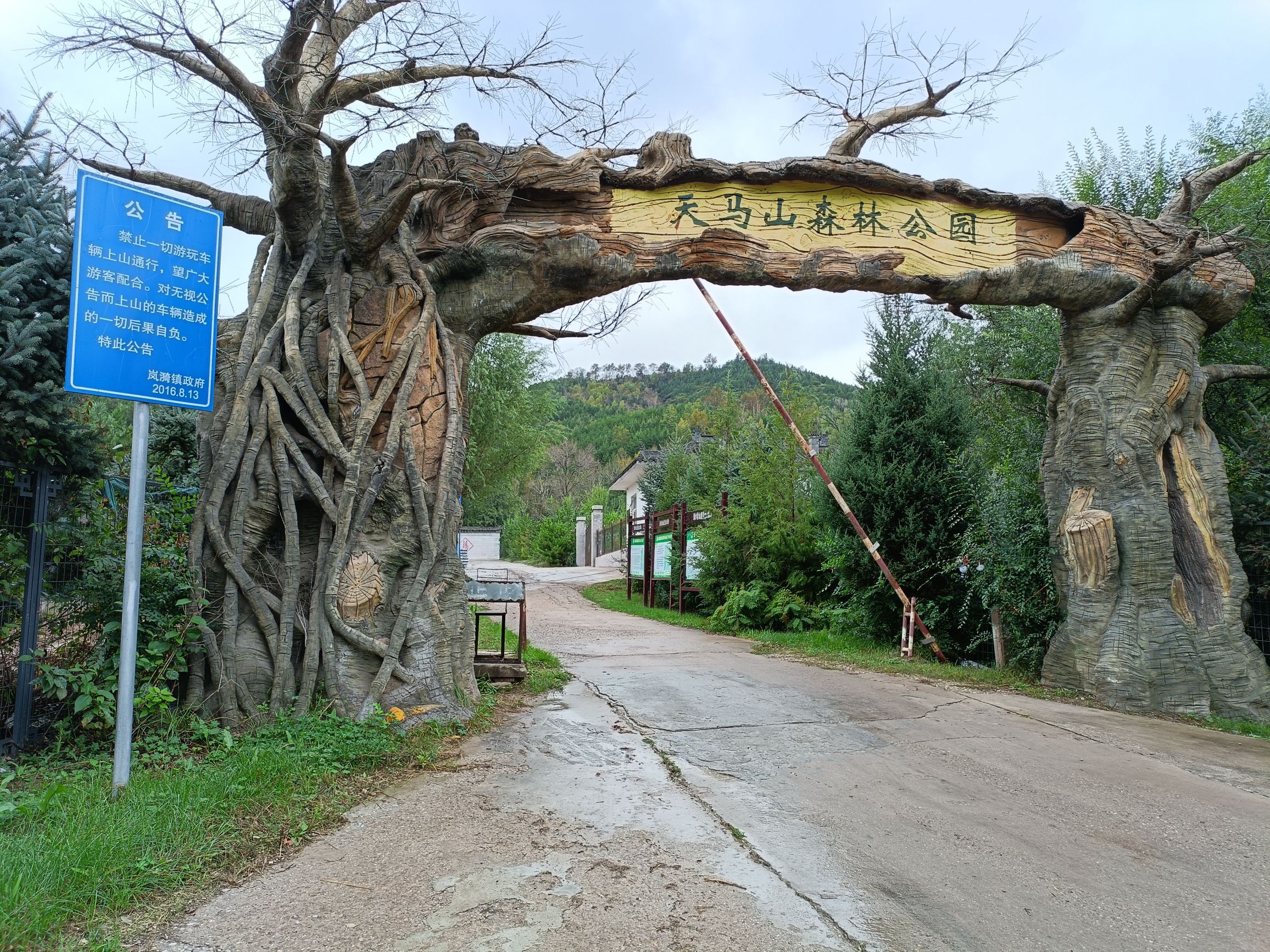 天马山森林公园旅行图片 1