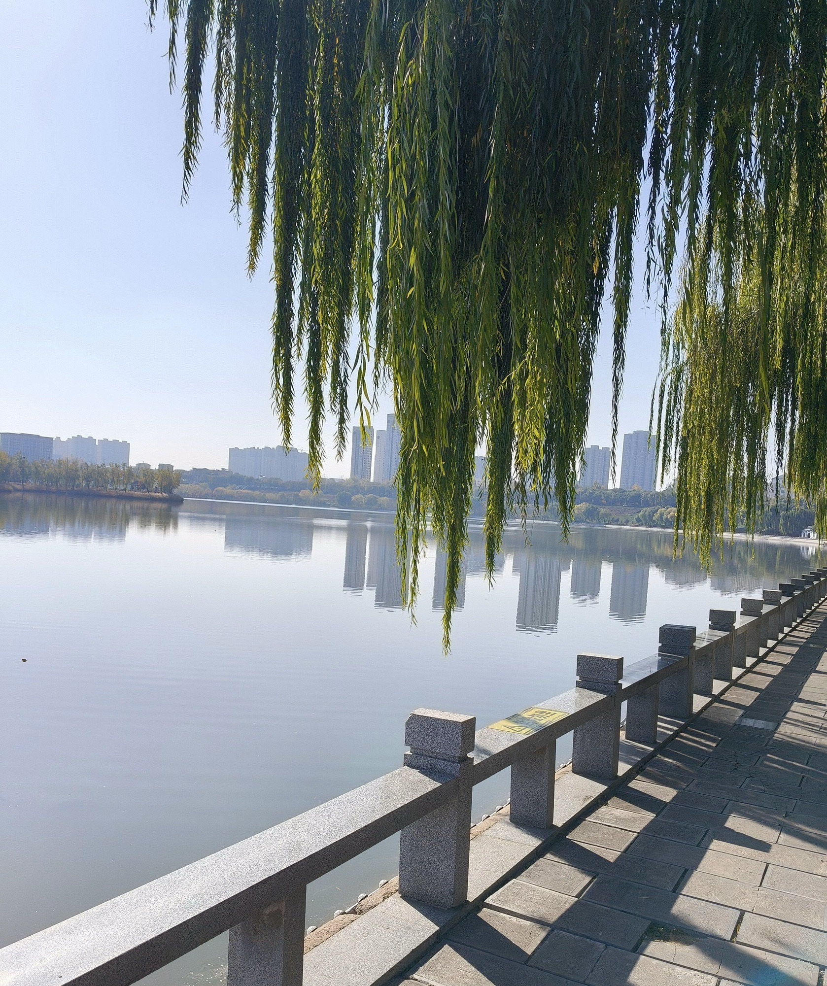 东湖公园旅行图片 2