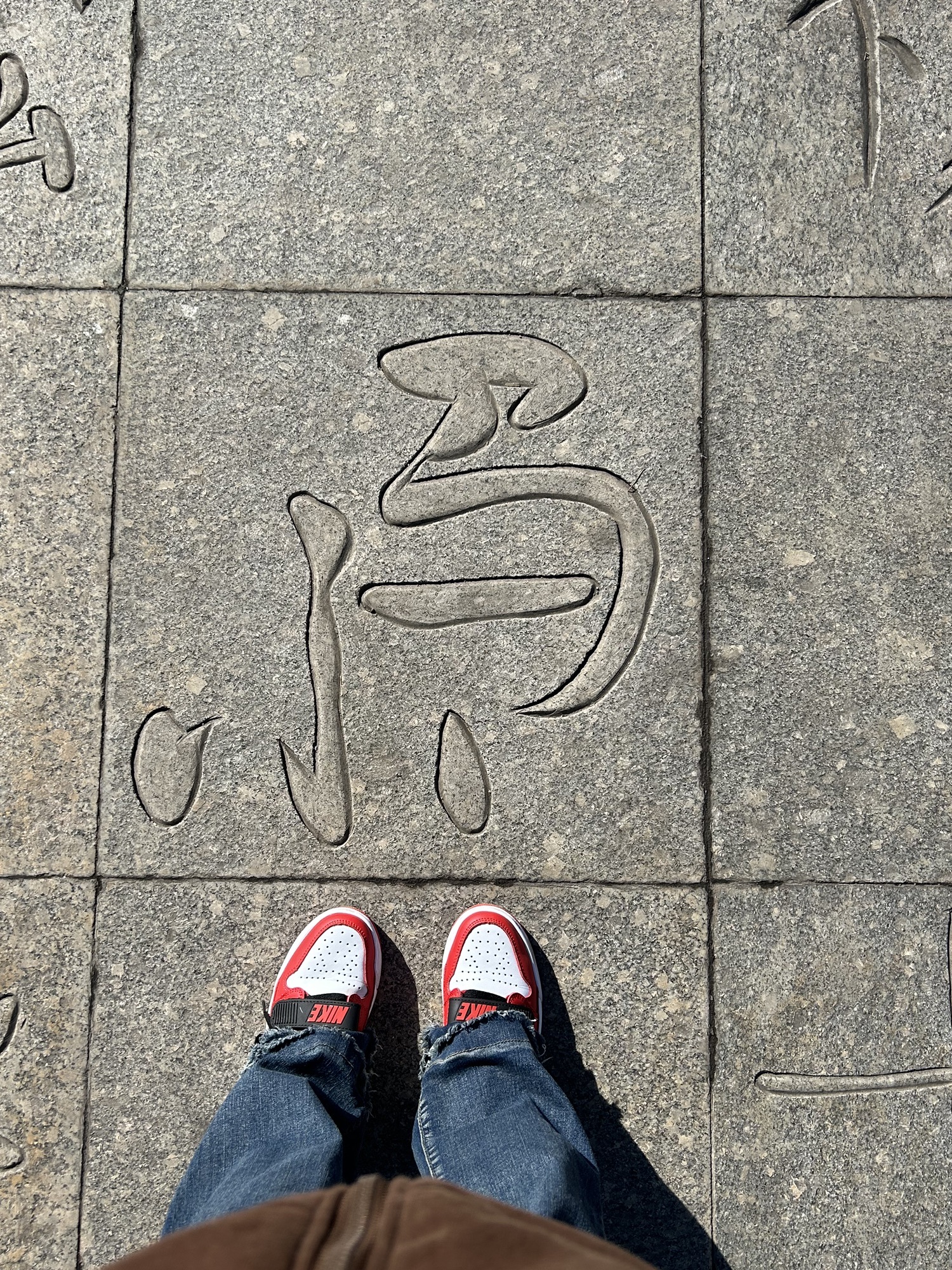 东湖公园旅行图片 2