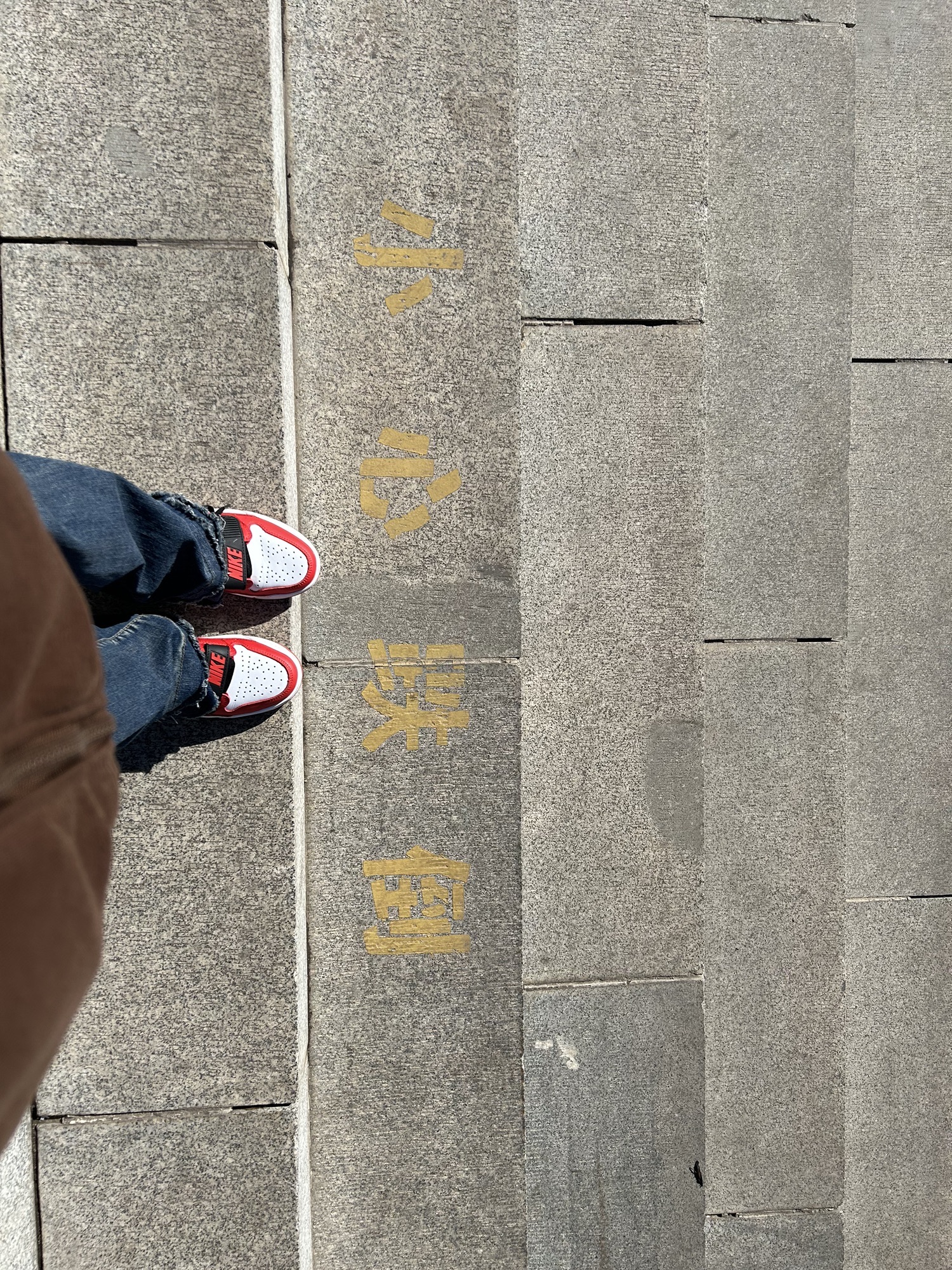 东湖公园旅行图片 1