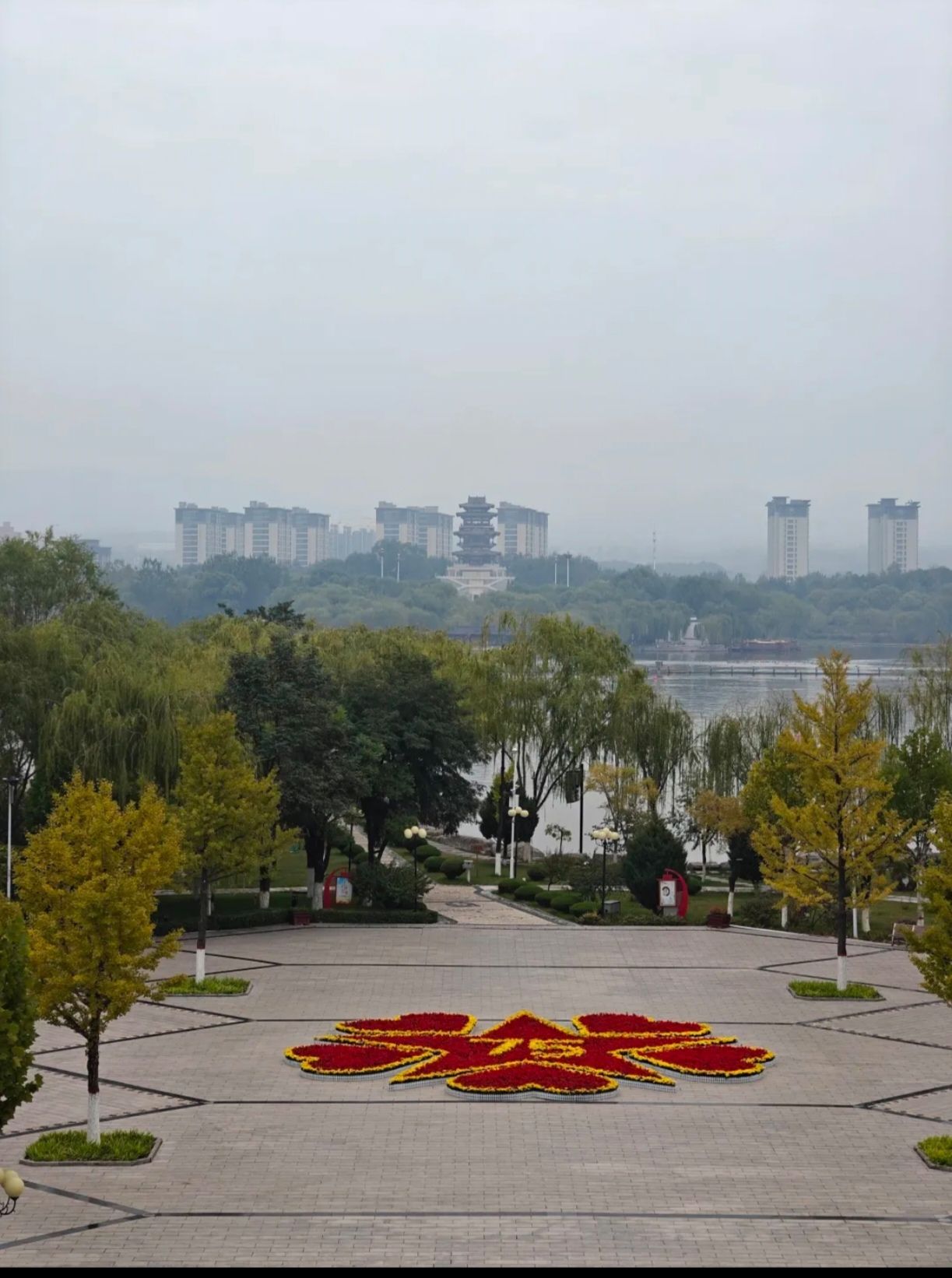 东湖公园旅行图片 1
