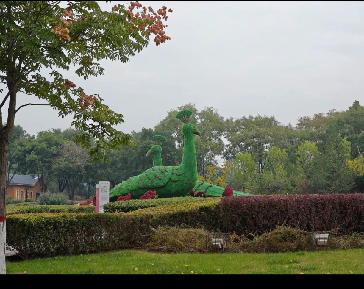 东湖公园旅行图片 2
