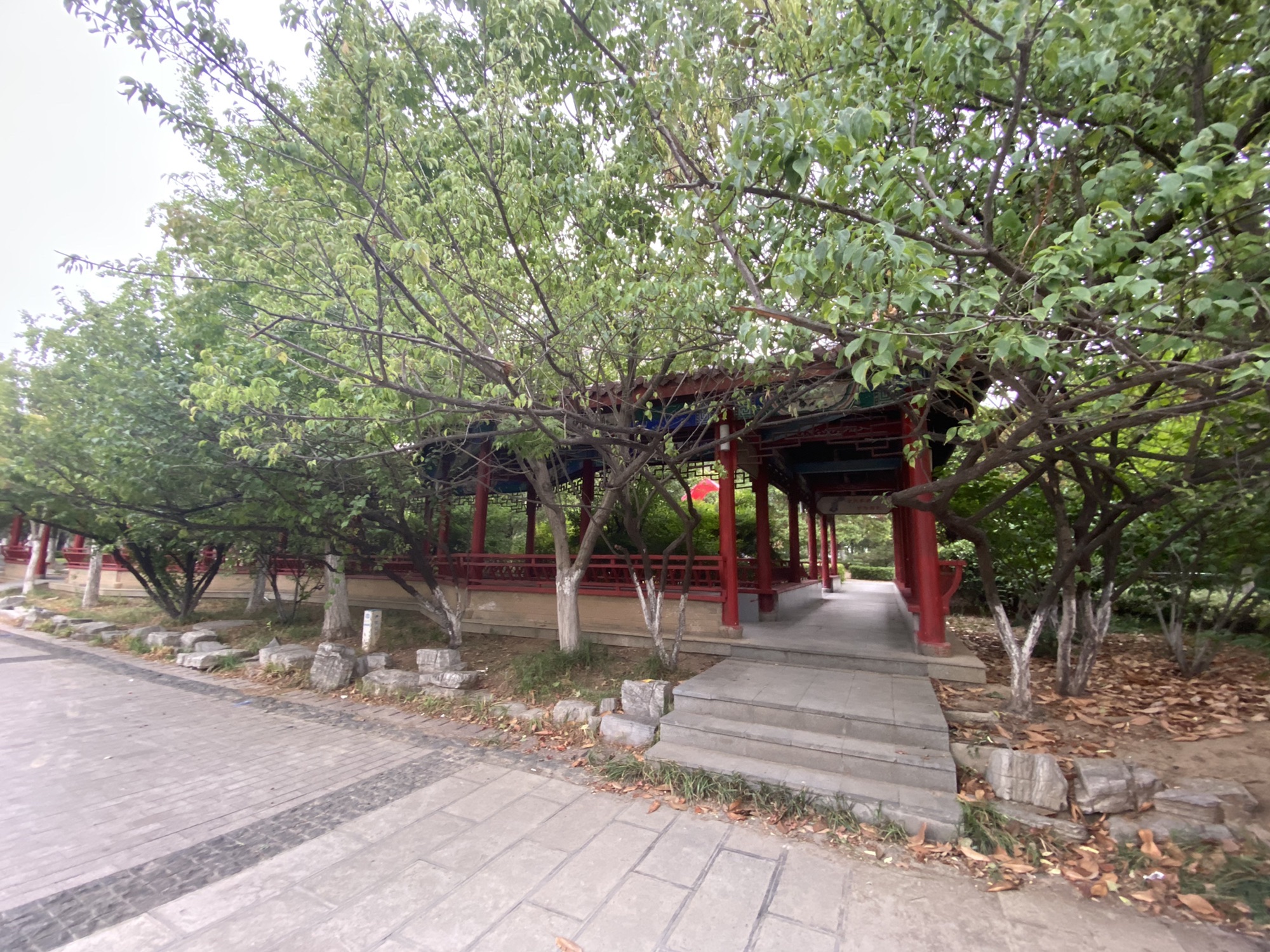 翔园旅行图片 3