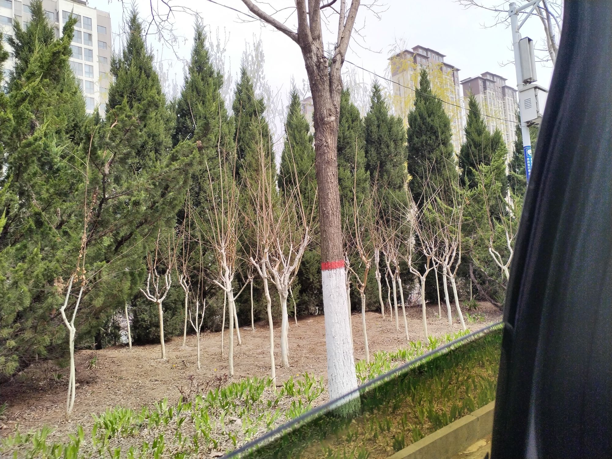 赵树理公园旅行图片 1