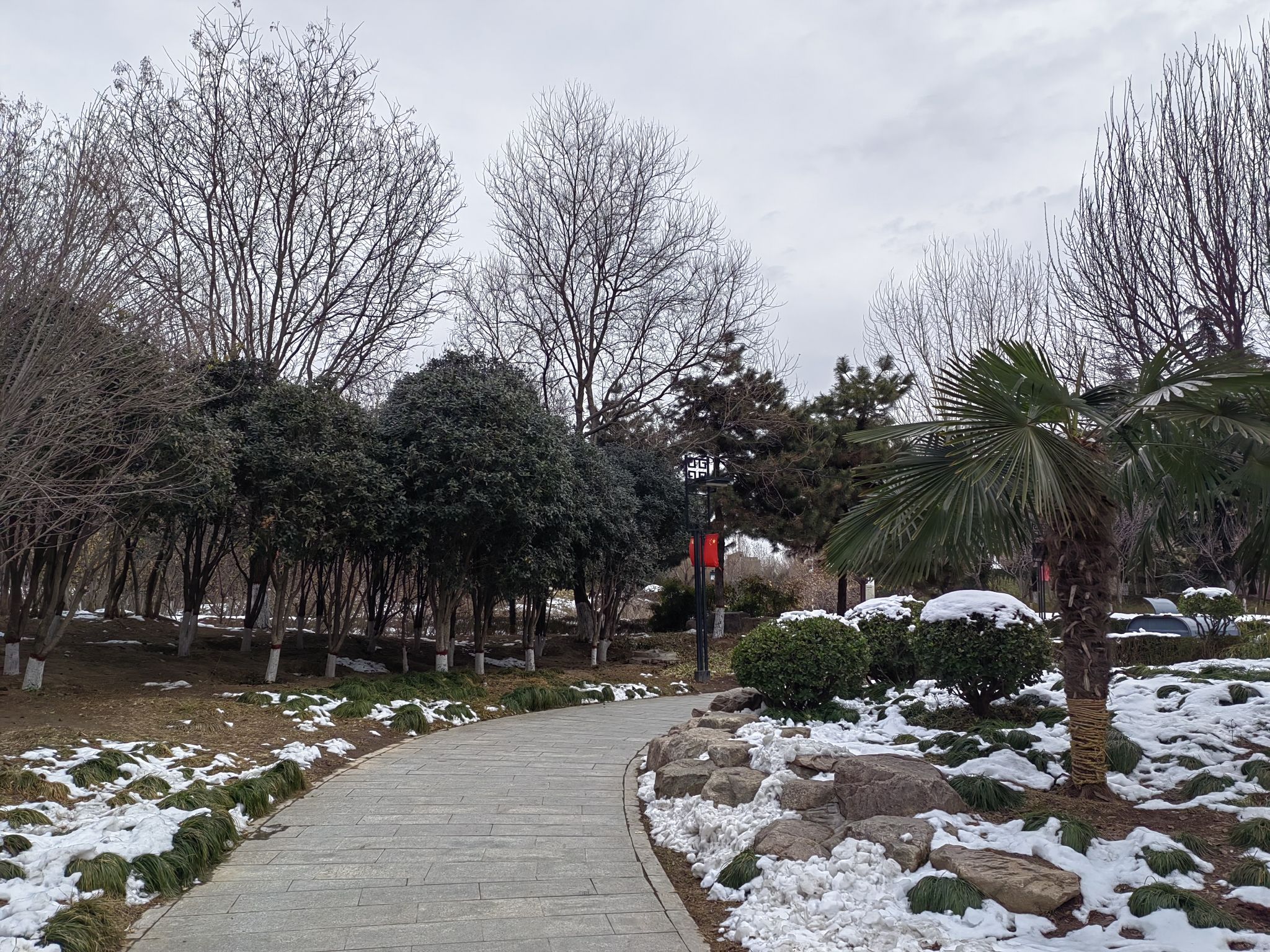 蒲园旅行图片 2