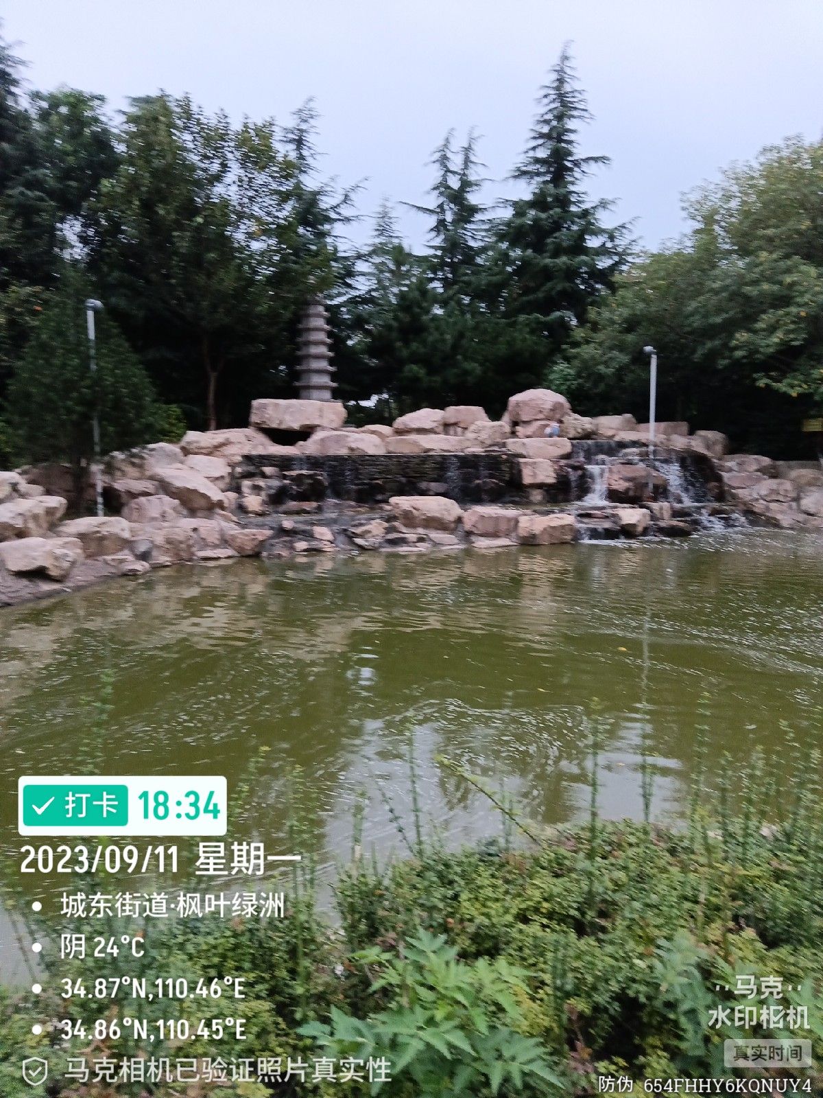 蒲园旅行图片 2