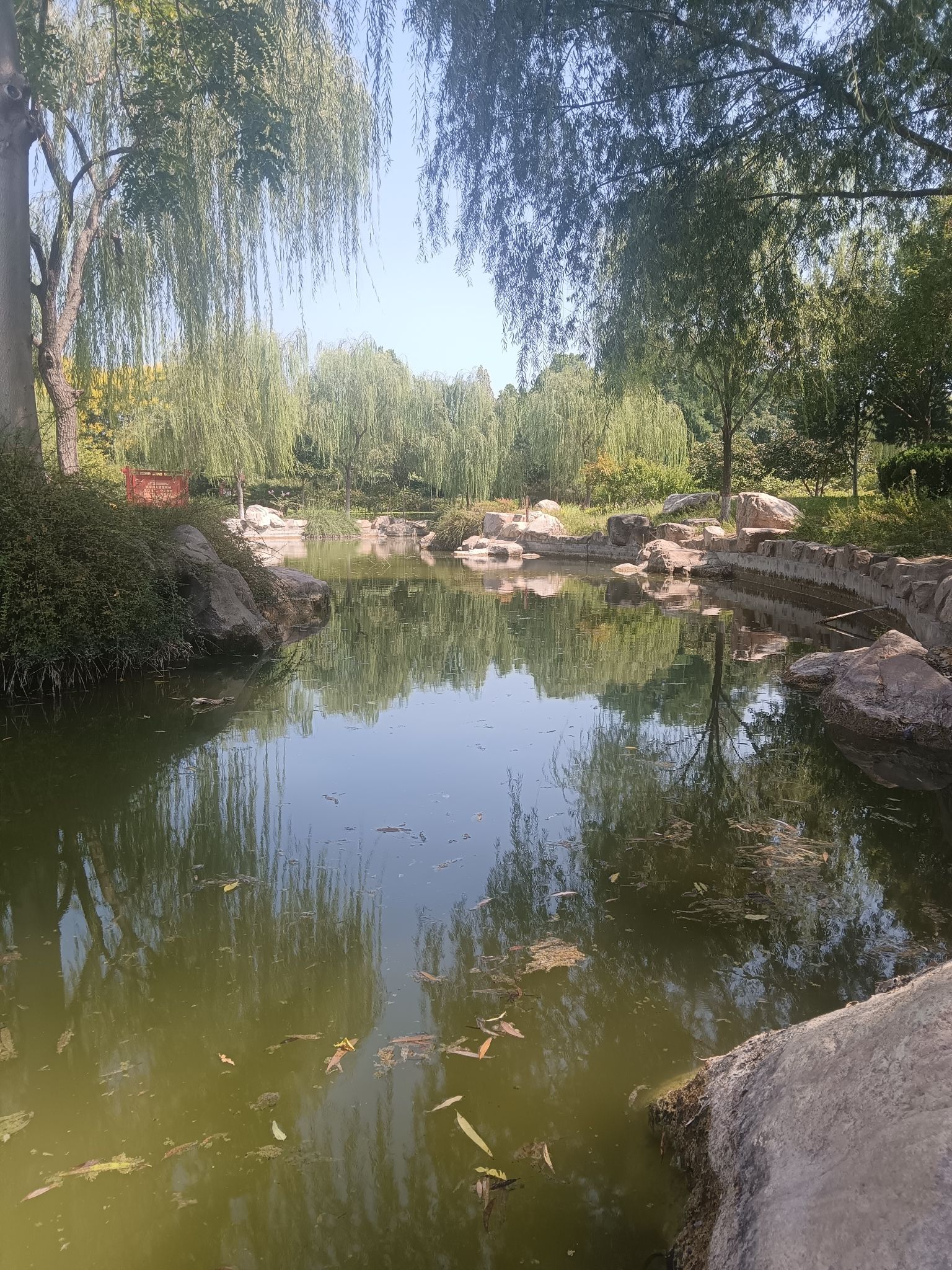 蒲园旅行图片 1
