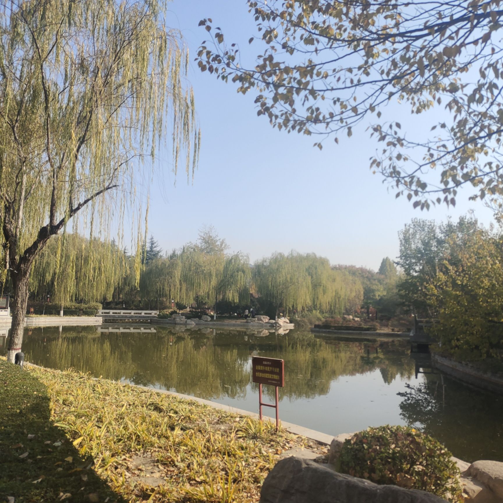 蒲园旅行图片 3