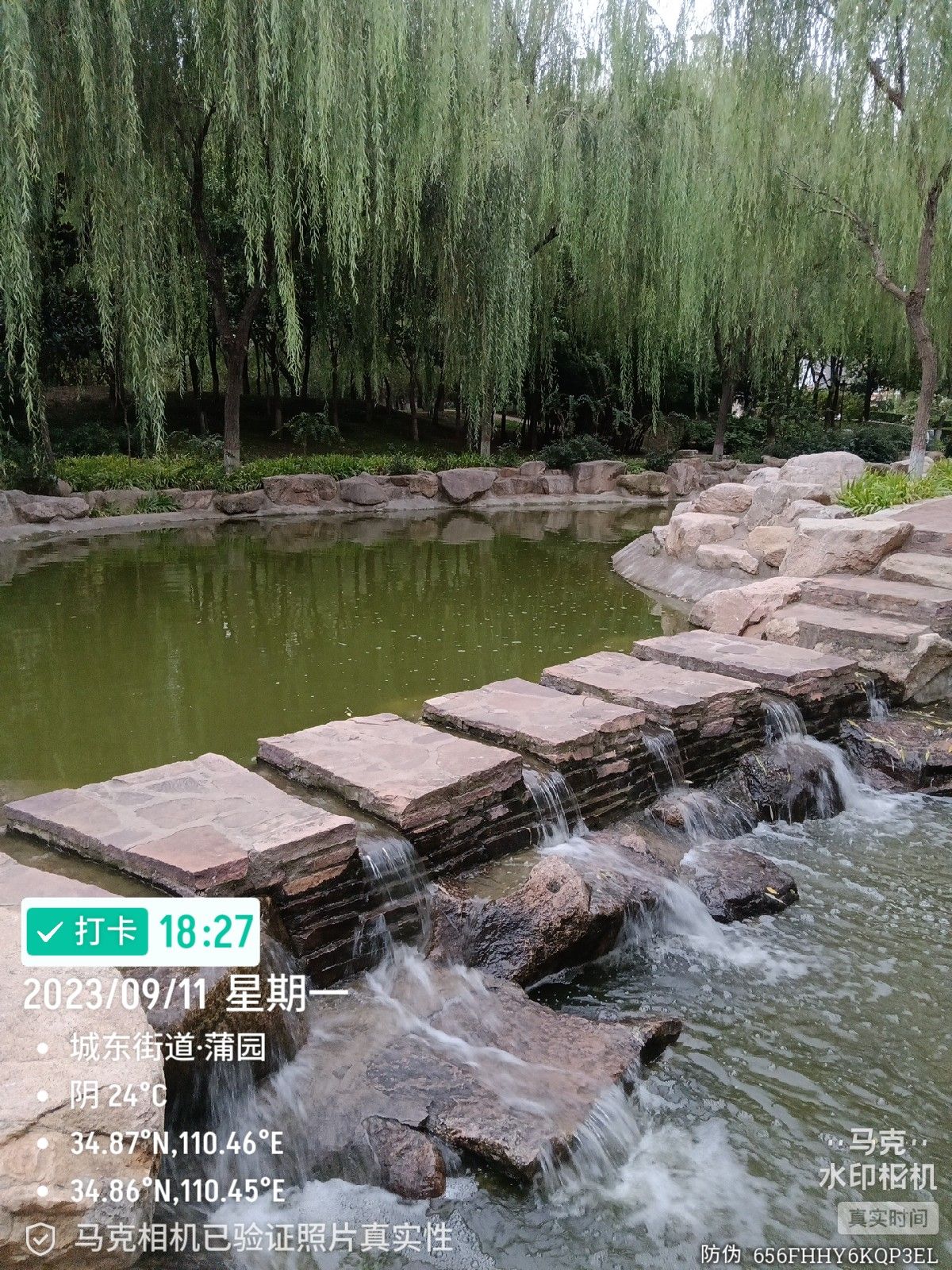 蒲园旅行图片 3